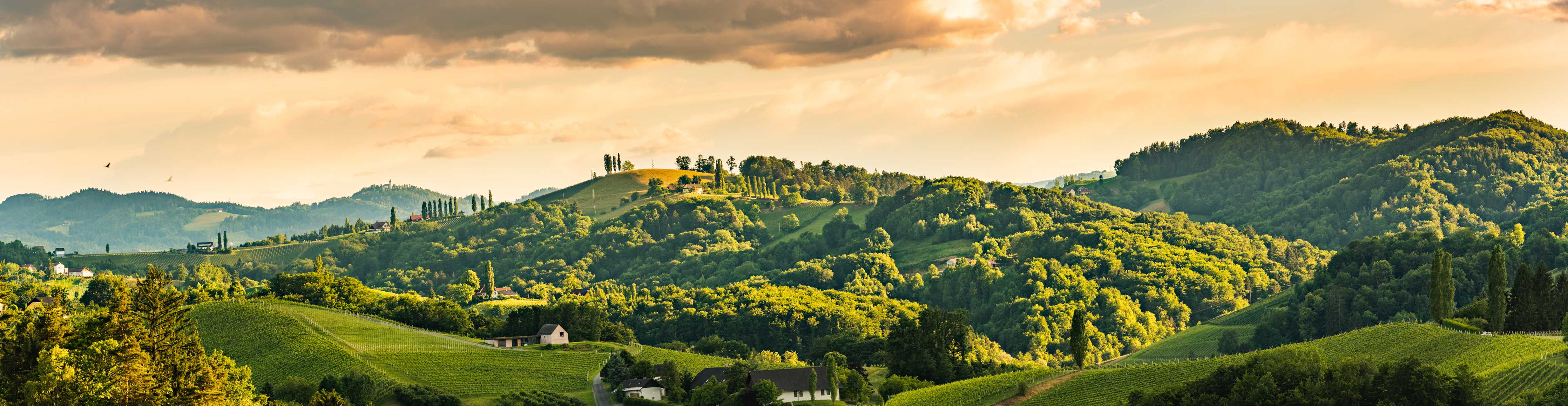 Wandverkleidung Bad-Sonniger Blick auf grüne Hügel