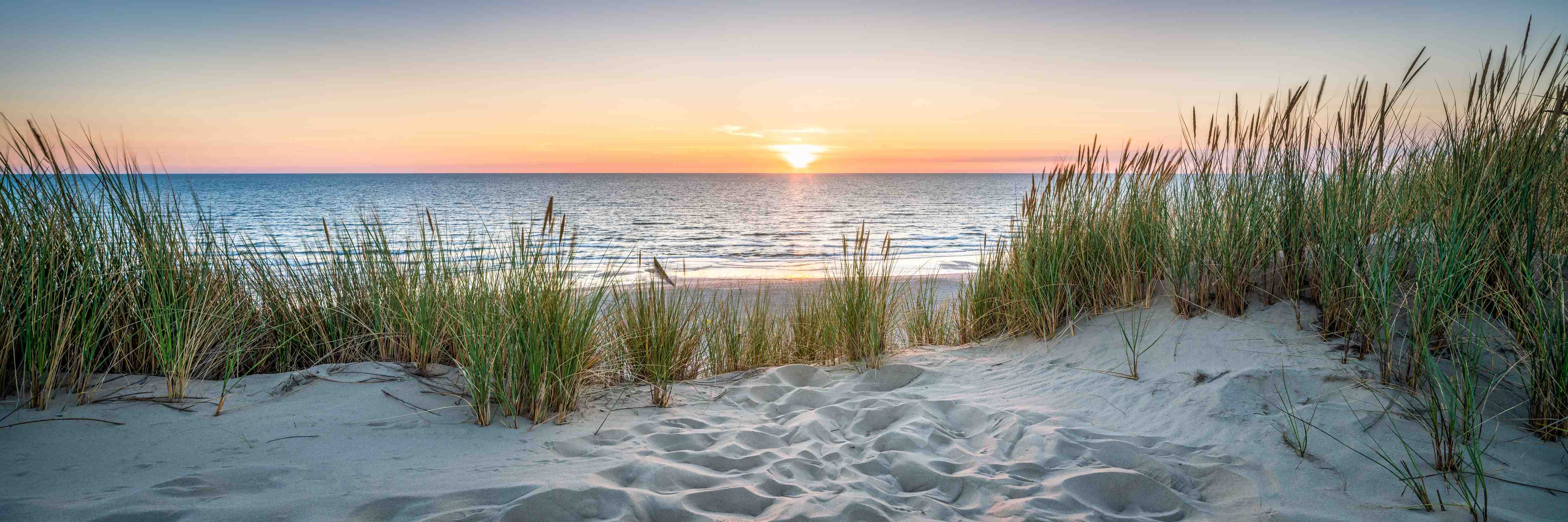 Wandverkleidung Bad-Strand bei Sonnenuntergang mit Gräsern