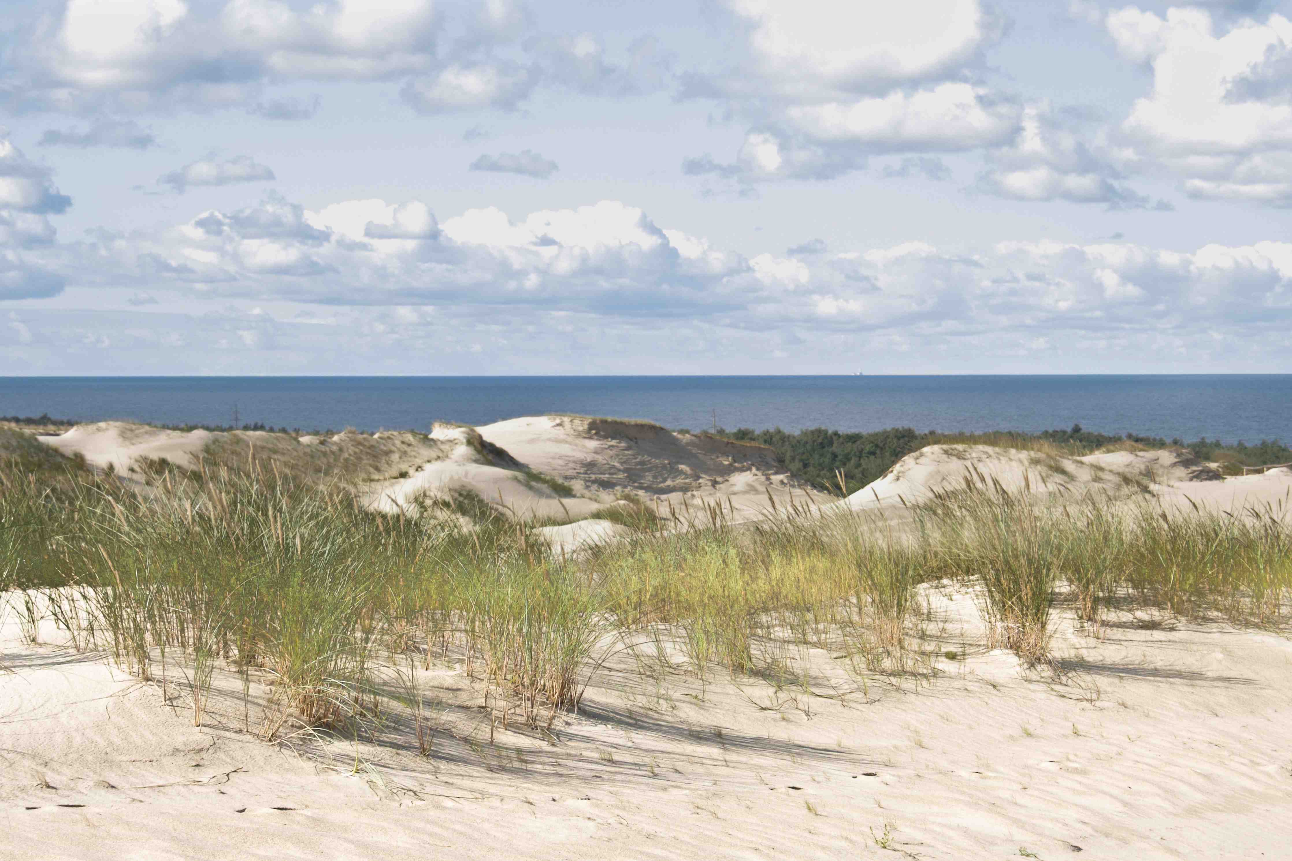 Wandverkleidung Bad-Strandlandschaft mit Dünen und Himmel