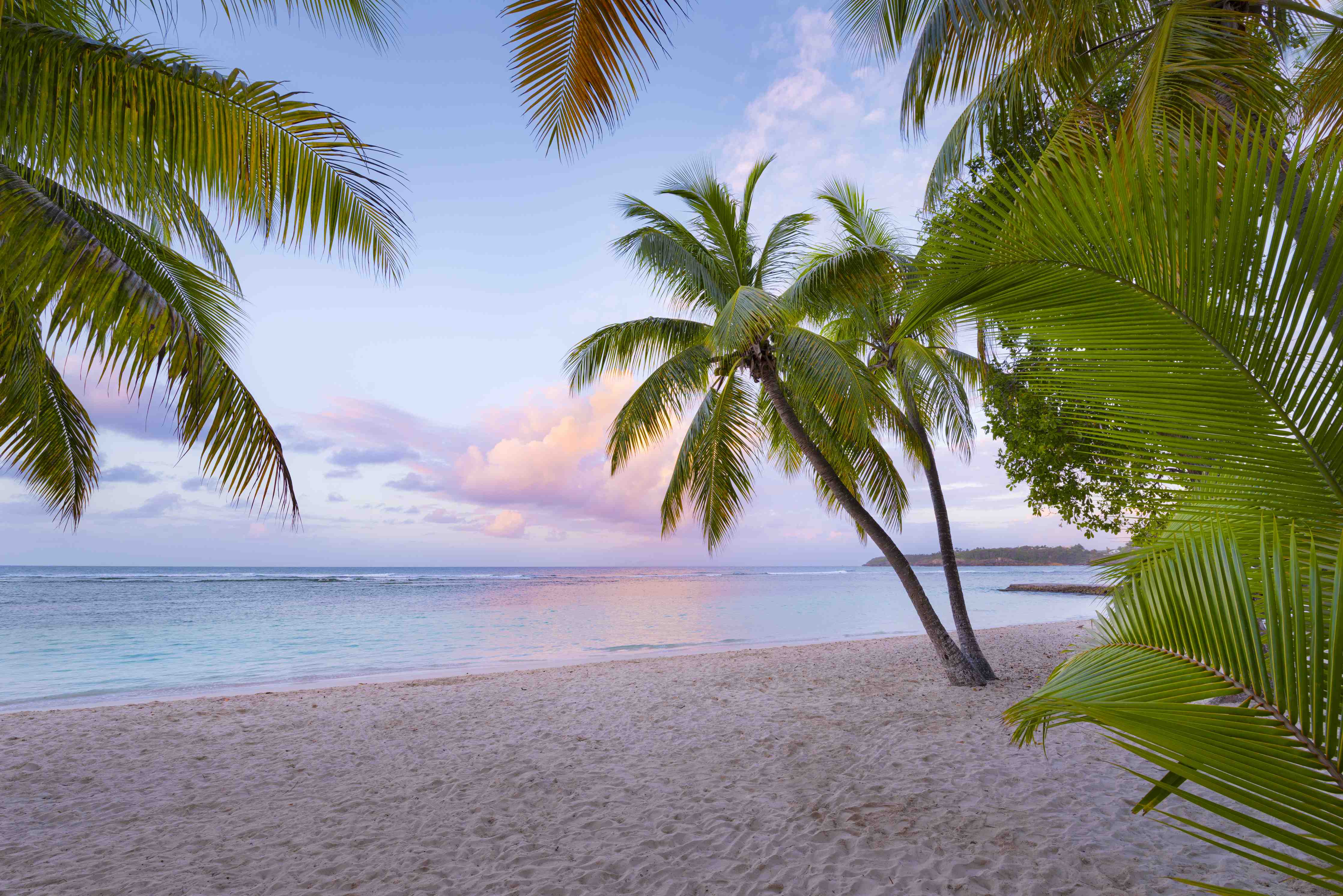 Wandverkleidung Bad-Tropischer Strand