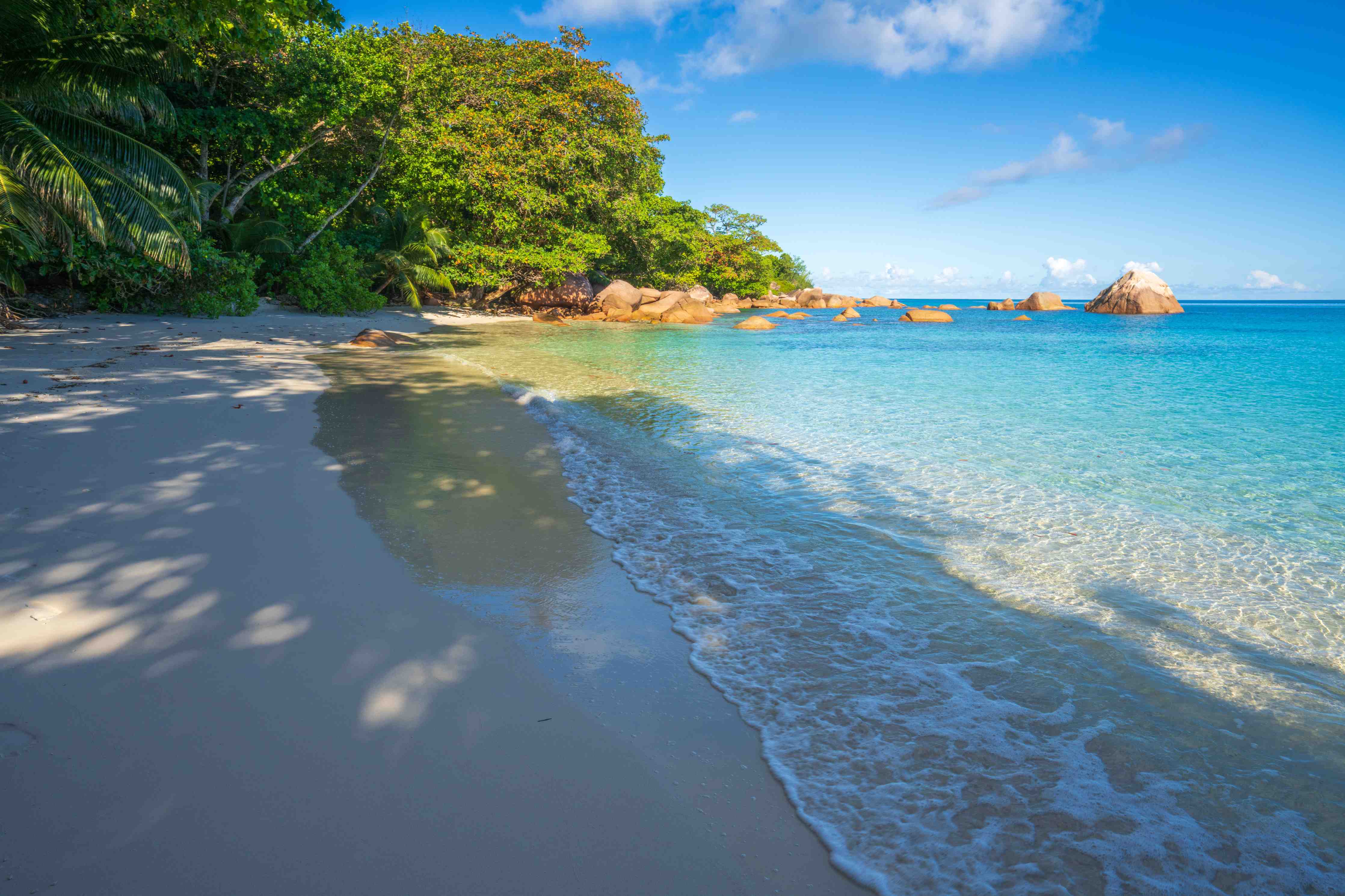 Wandverkleidung Bad-Tropischer Strand mit klarem Wasser und Baden