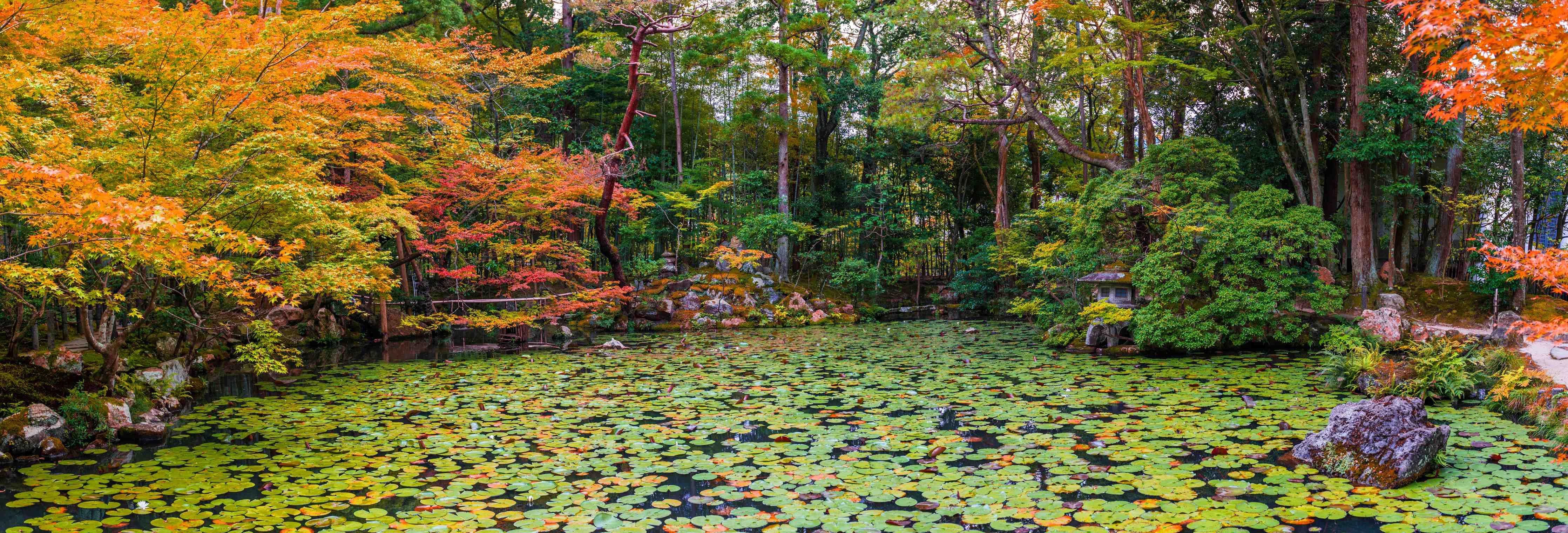 Wandverkleidung Bad-Vogelbecken in herbstlicher Natur