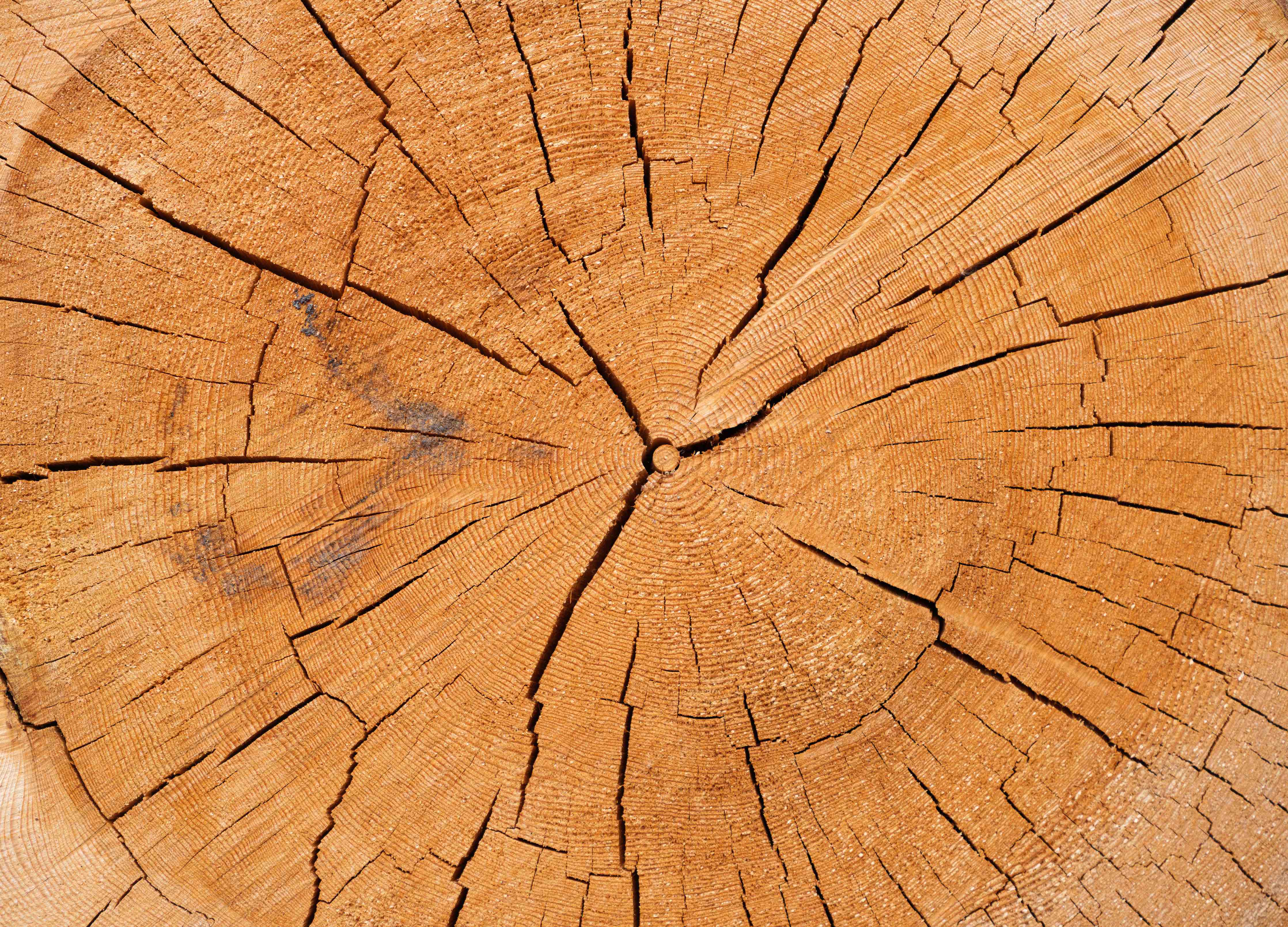 Wandverkleidung Bad-Warme Holzmaserung mit Rissmustern