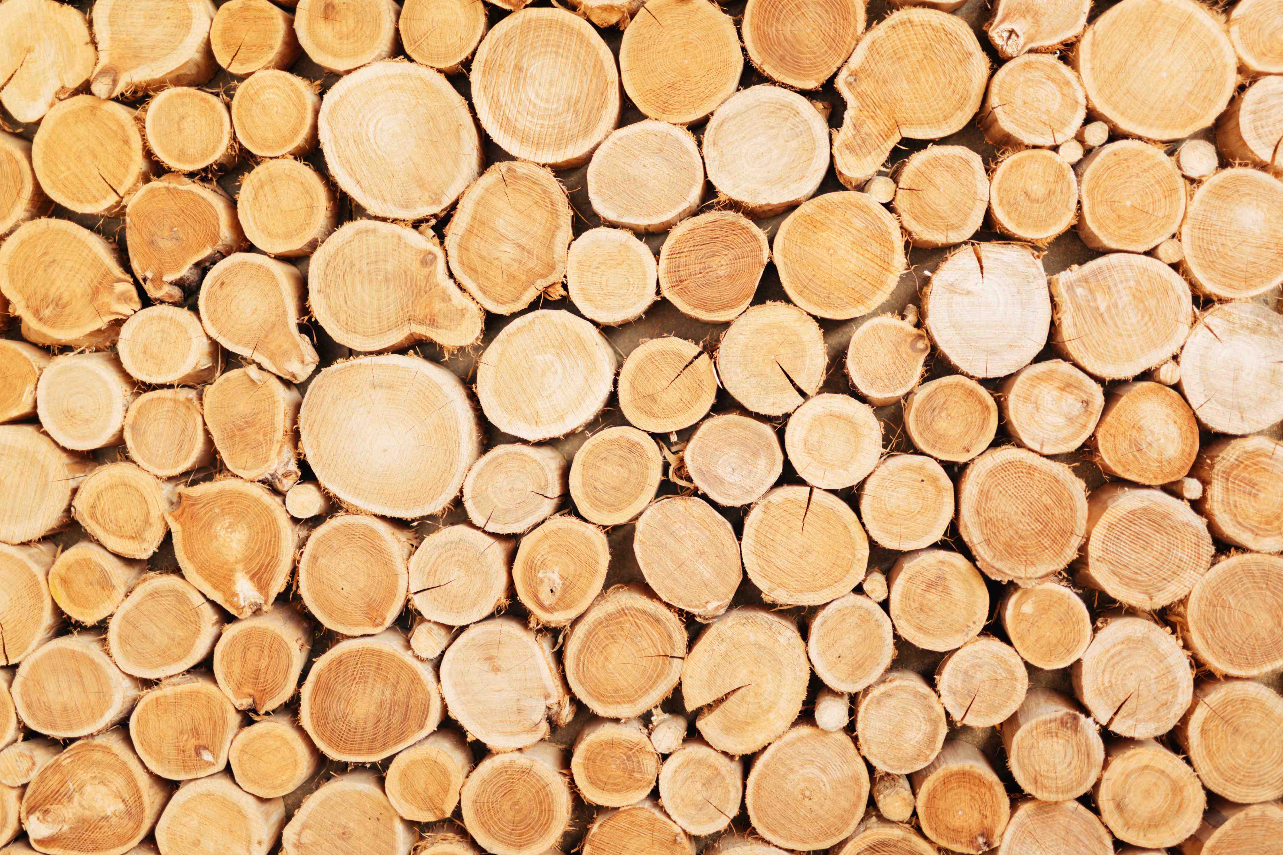 Wandverkleidung Bad-Warme Holztöne mit Grauflair