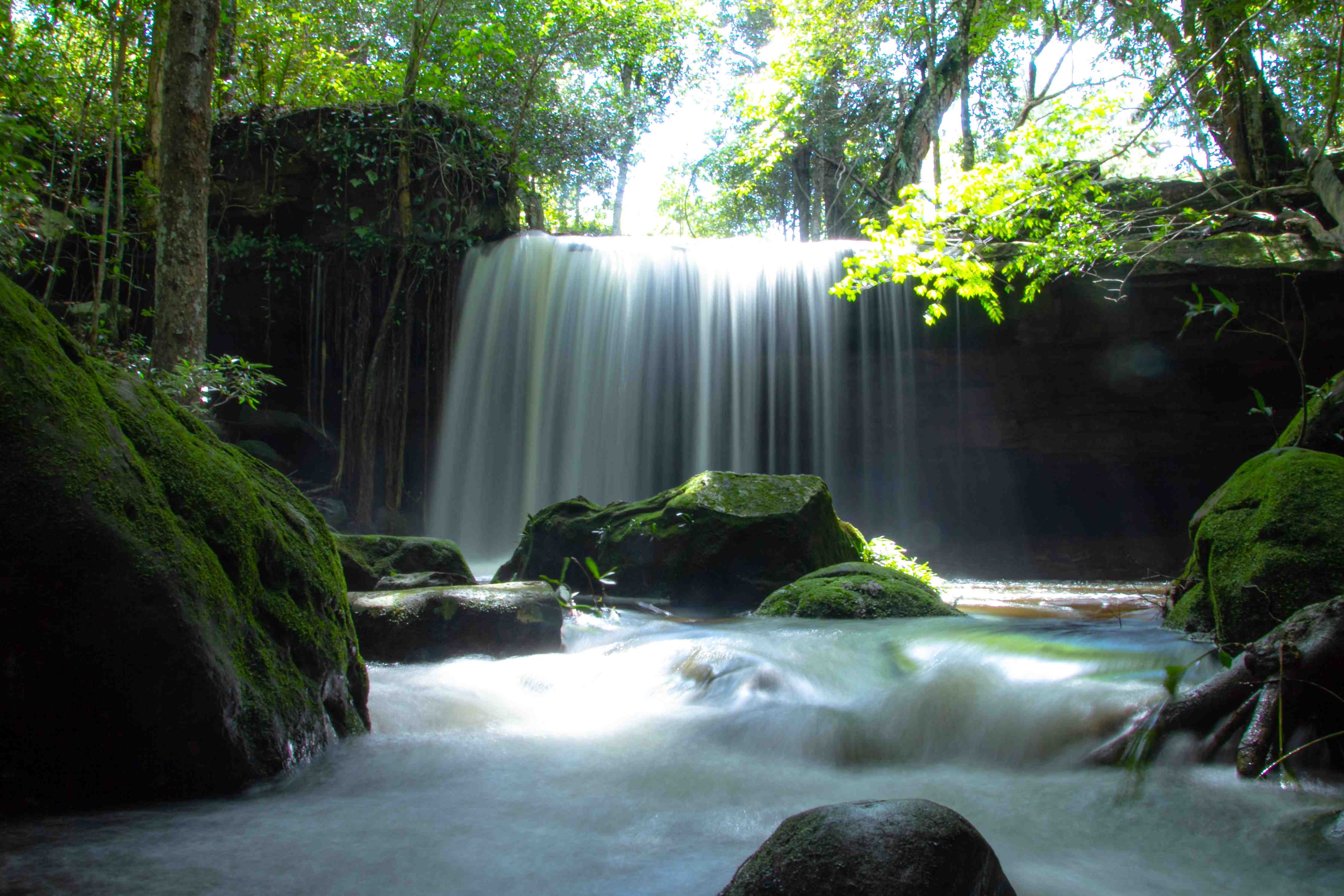 Wandverkleidung Bad-Wasserfall im grünen Wald mit moosbedeckten Steinen
