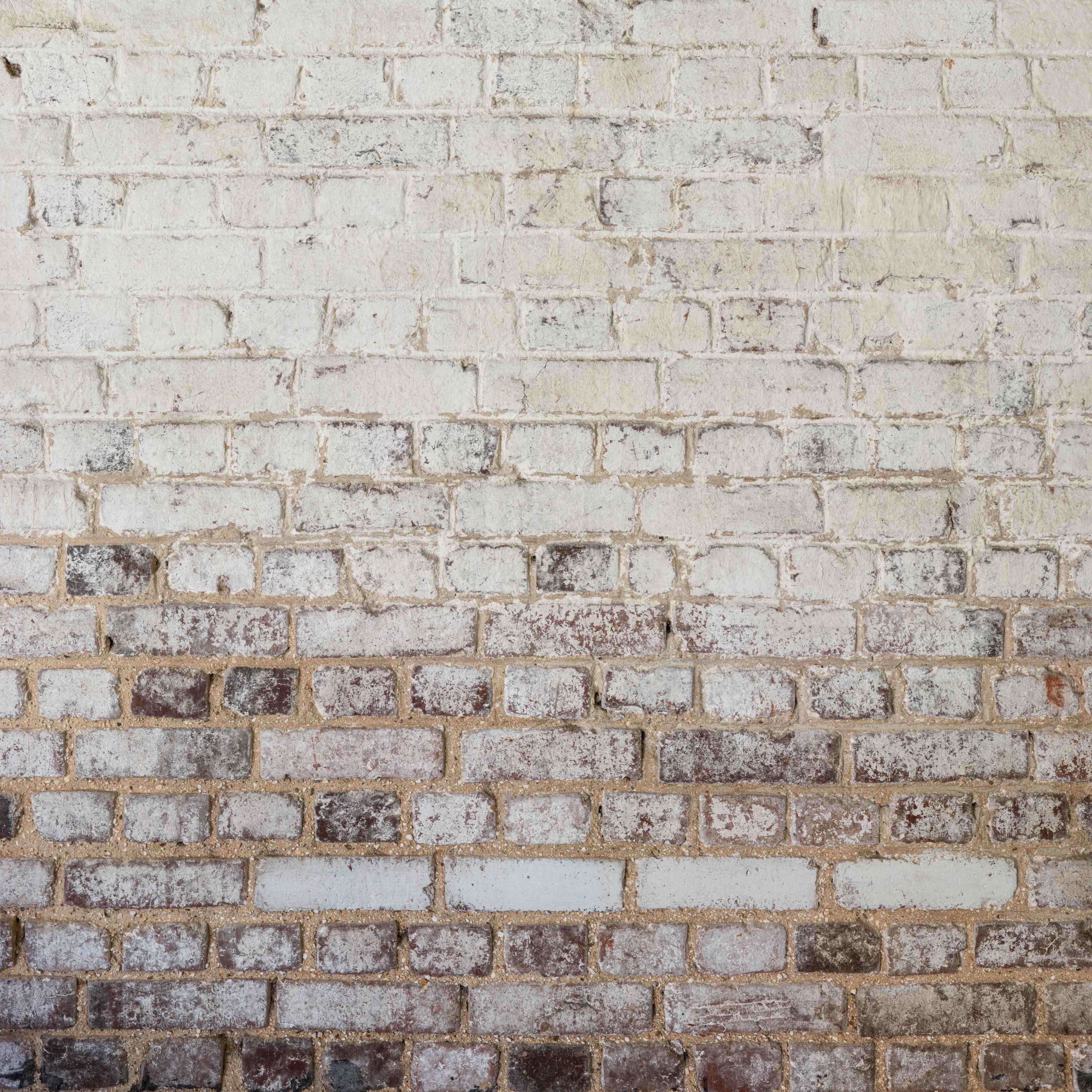 Wandverkleidung Bad-Weiße Ziegelwand mit alternder Textur