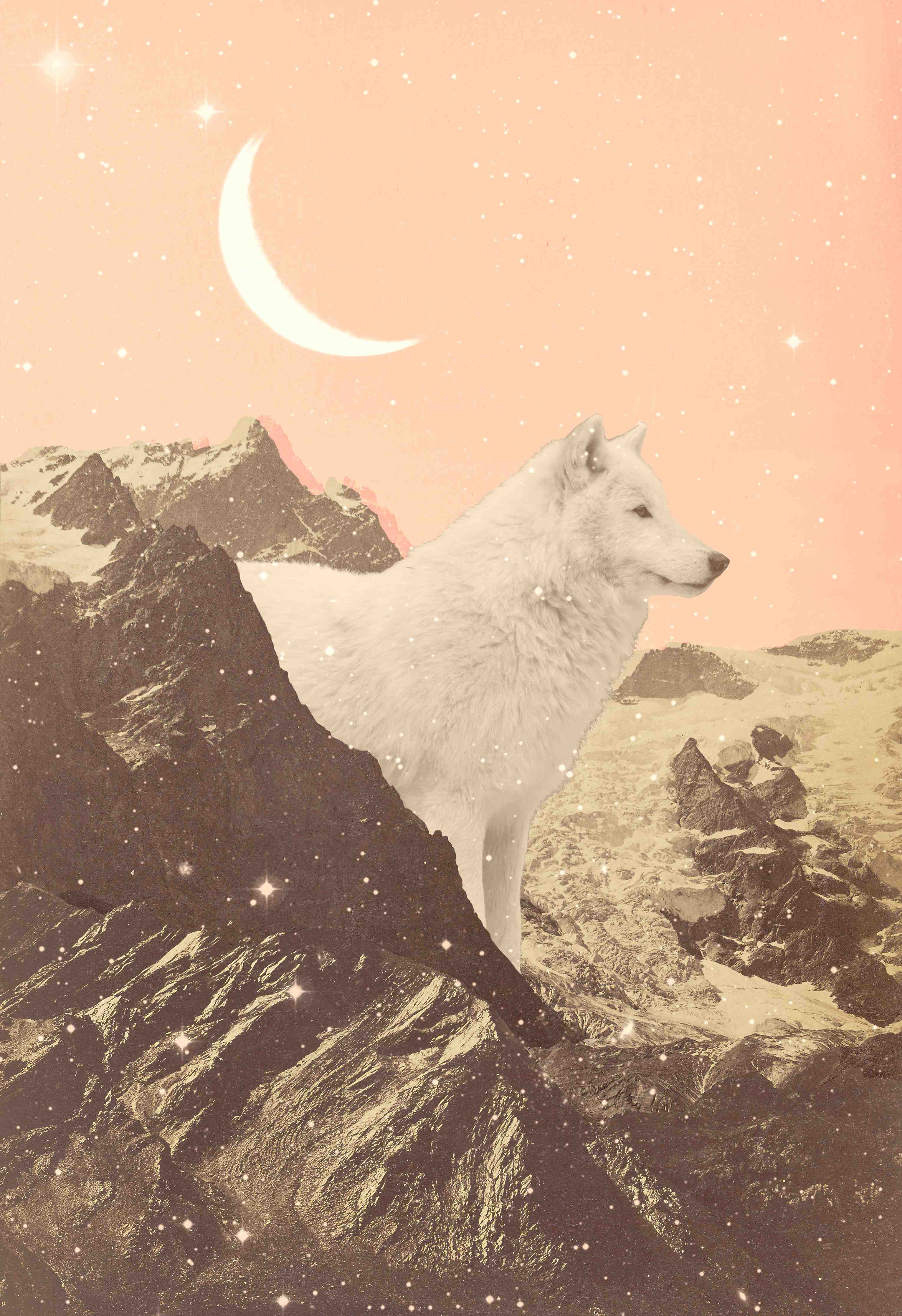 Wandverkleidung Bad-Weißer Wolf Berglandschaft Nacht