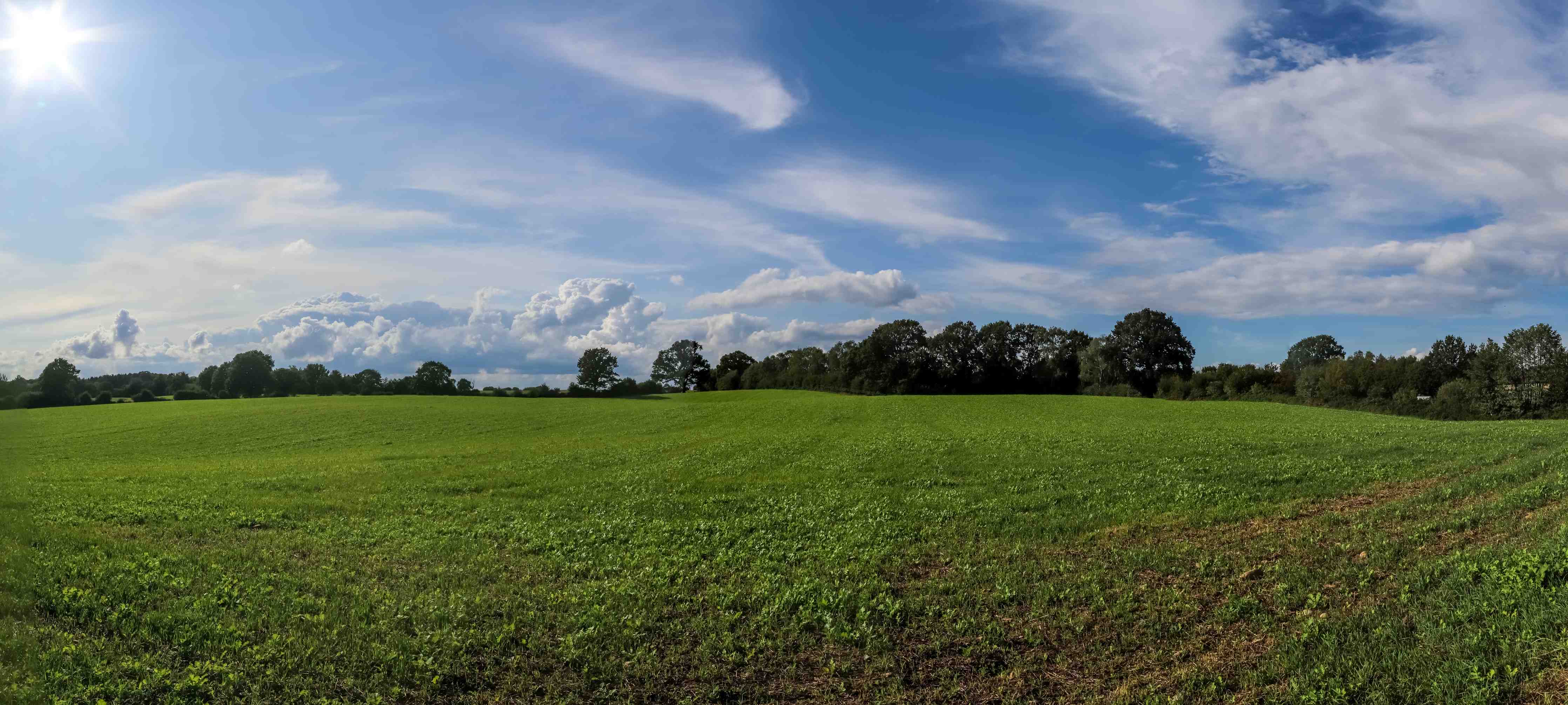 Wandverkleidung Bad-Weites grünes Feld unter blauem Himmel