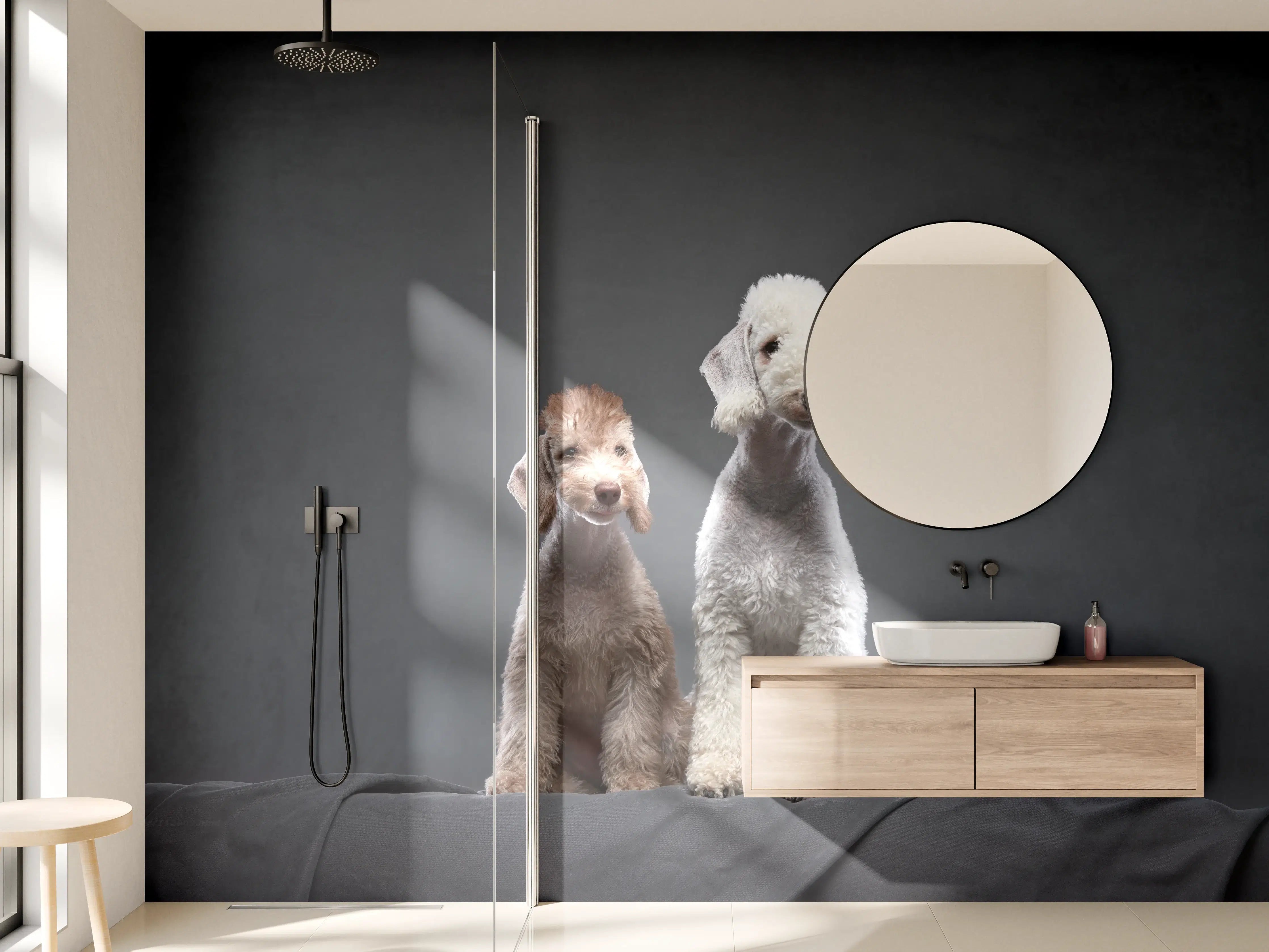 Wandverkleidung Bad - Welpe und erwachsener Bedlington Terrier