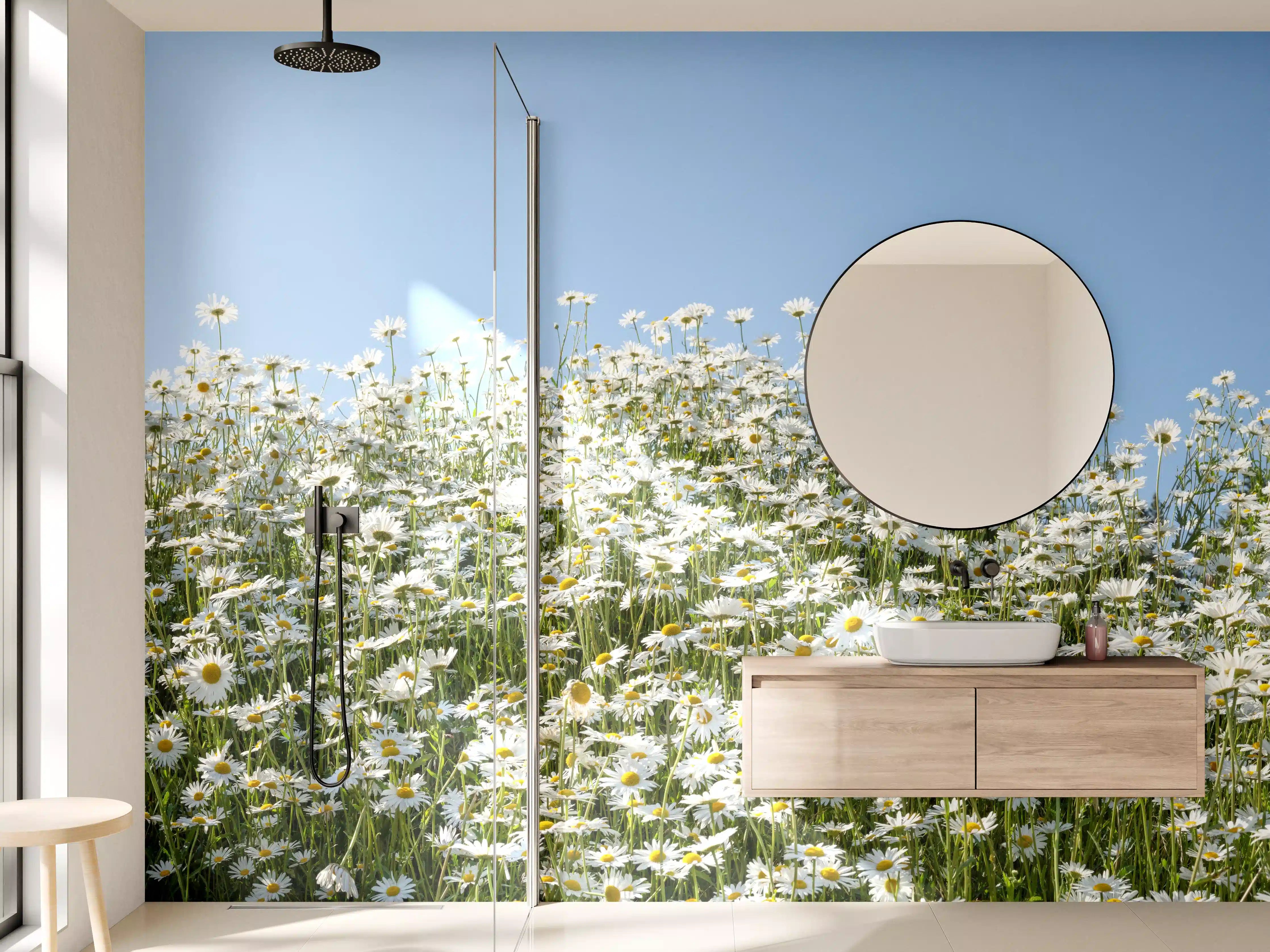Wandverkleidung Bad - Wiesen voller Gänseblümchen unter blauem Himmel