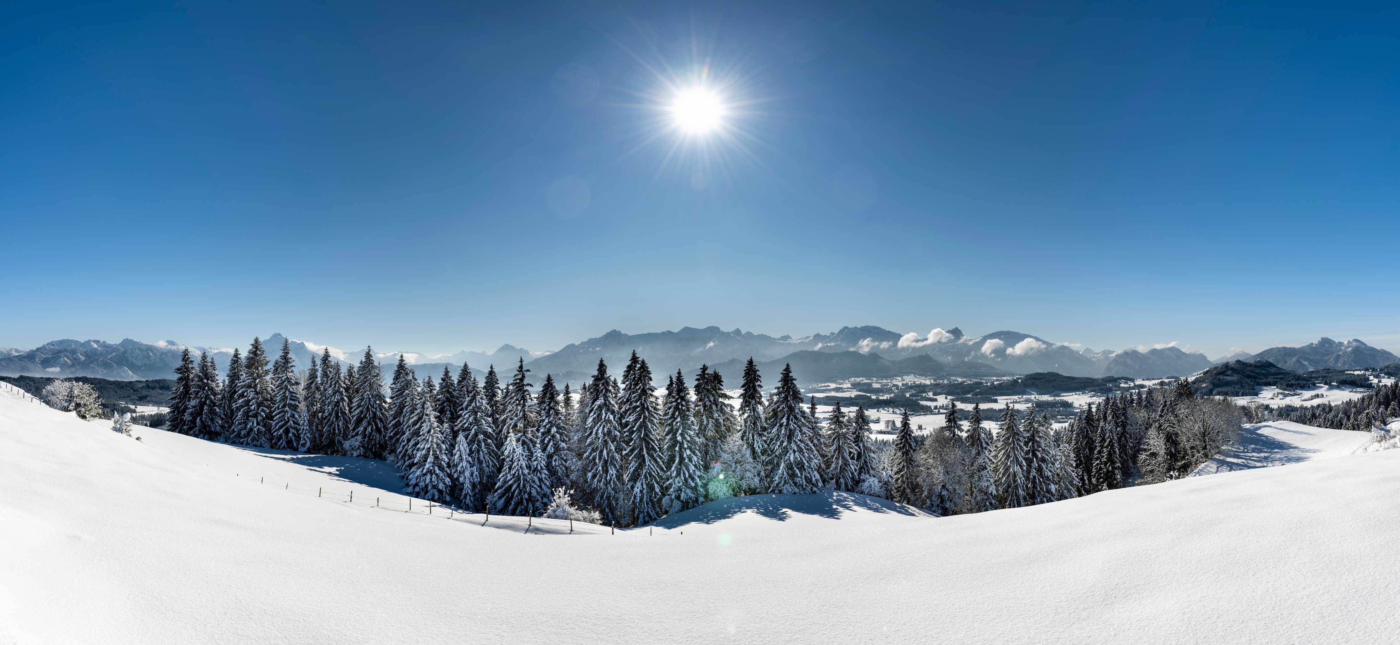 Wandverkleidung Bad-Winterlandschaft mit verschneiten Bäumen