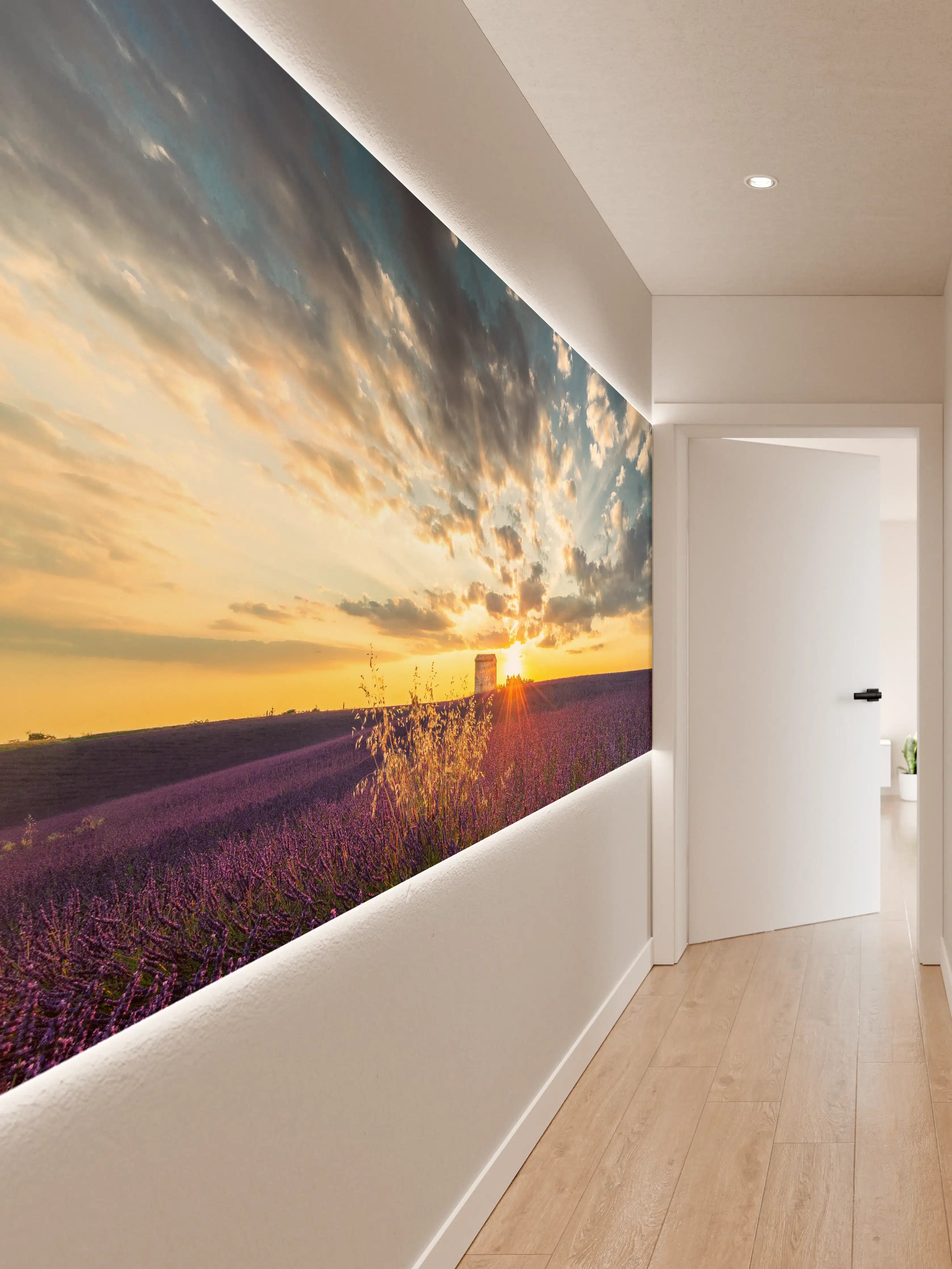 Wandverkleidung Flur - Abendstimmung über Lavendelfeldern bei Sonnenuntergang