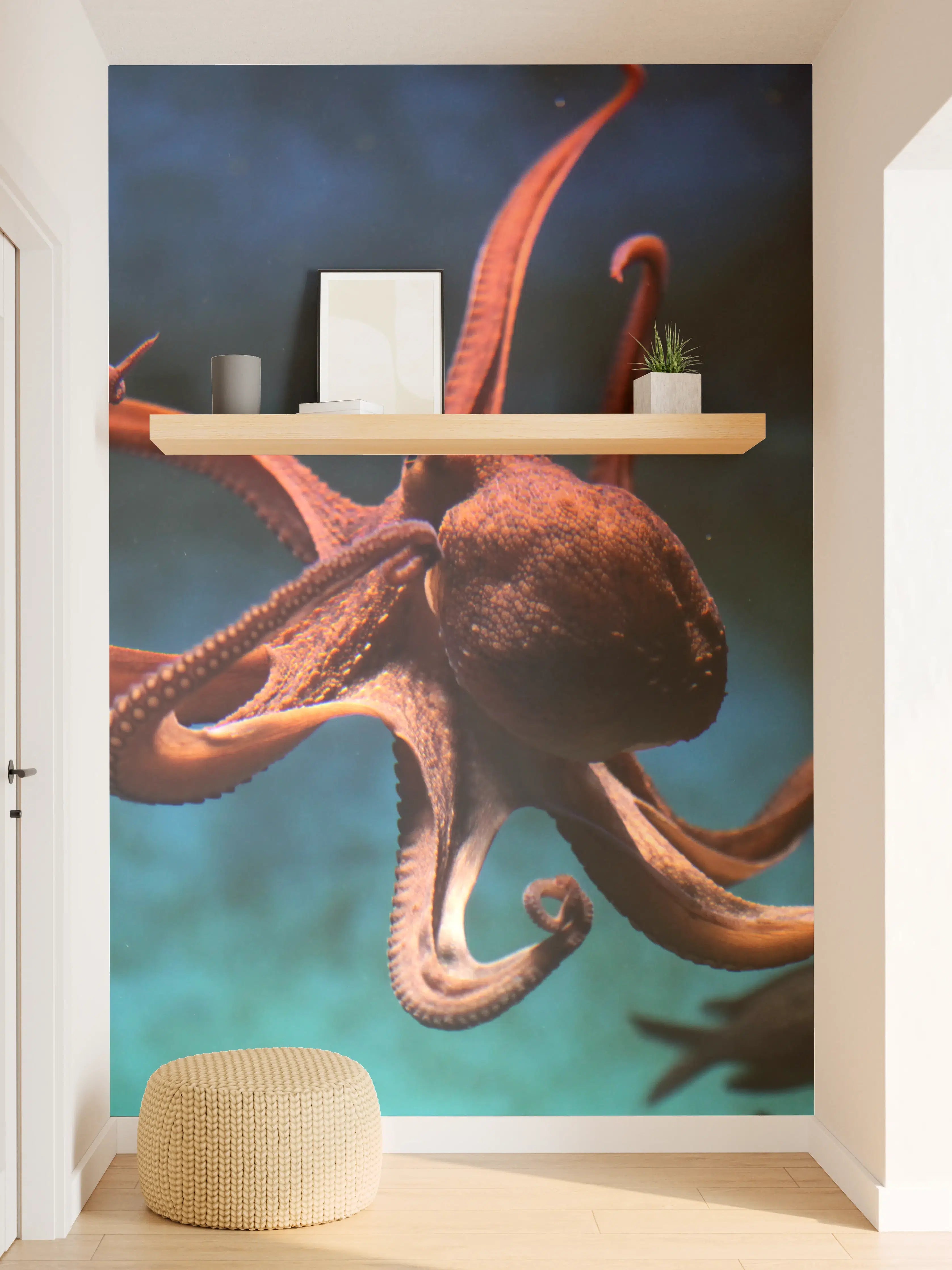 Wandverkleidung Flur - Atemberaubende Tintenfischaufnahme