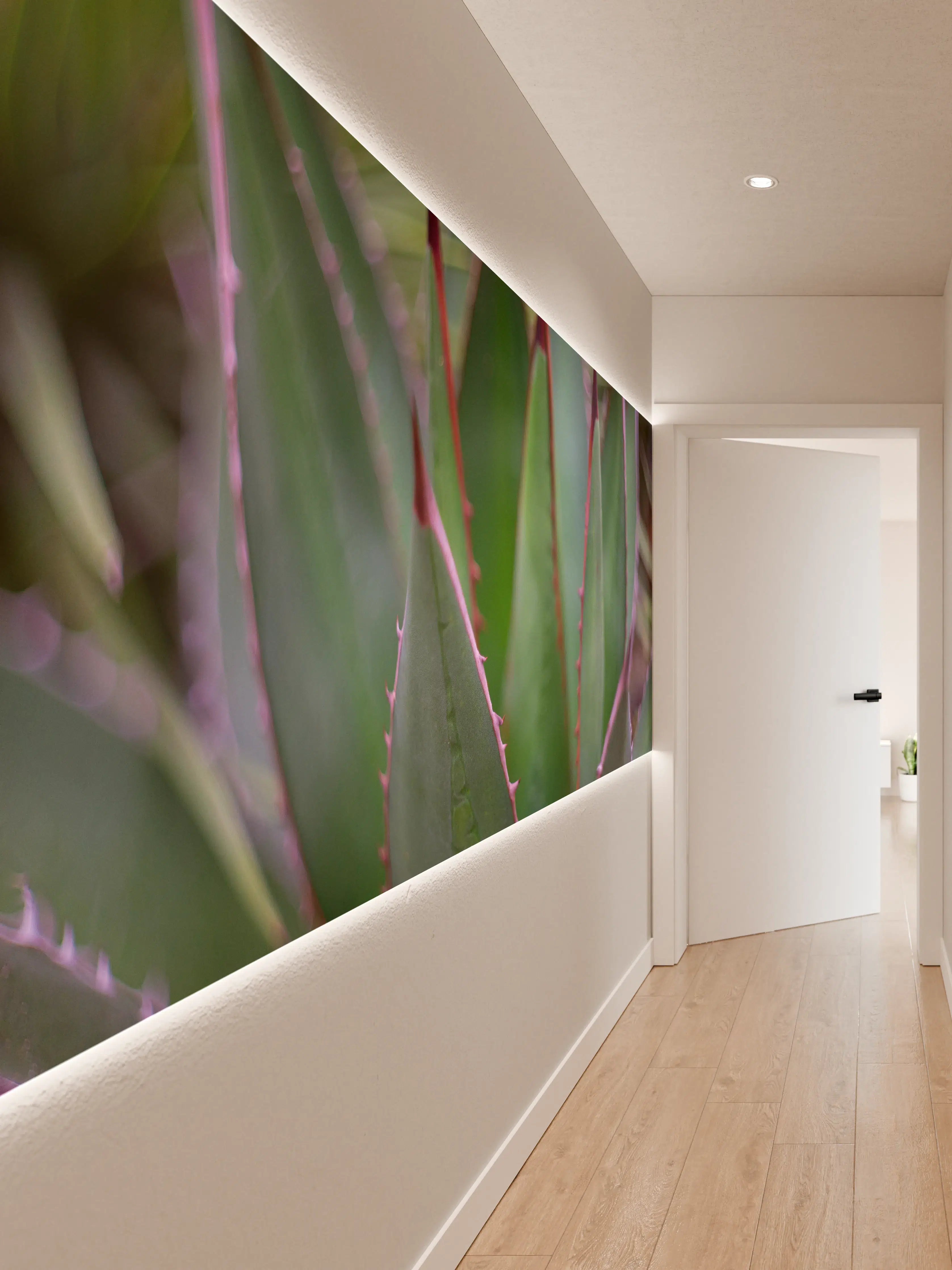 Wandverkleidung Flur - Attraktive Aloe Vera Pflanze