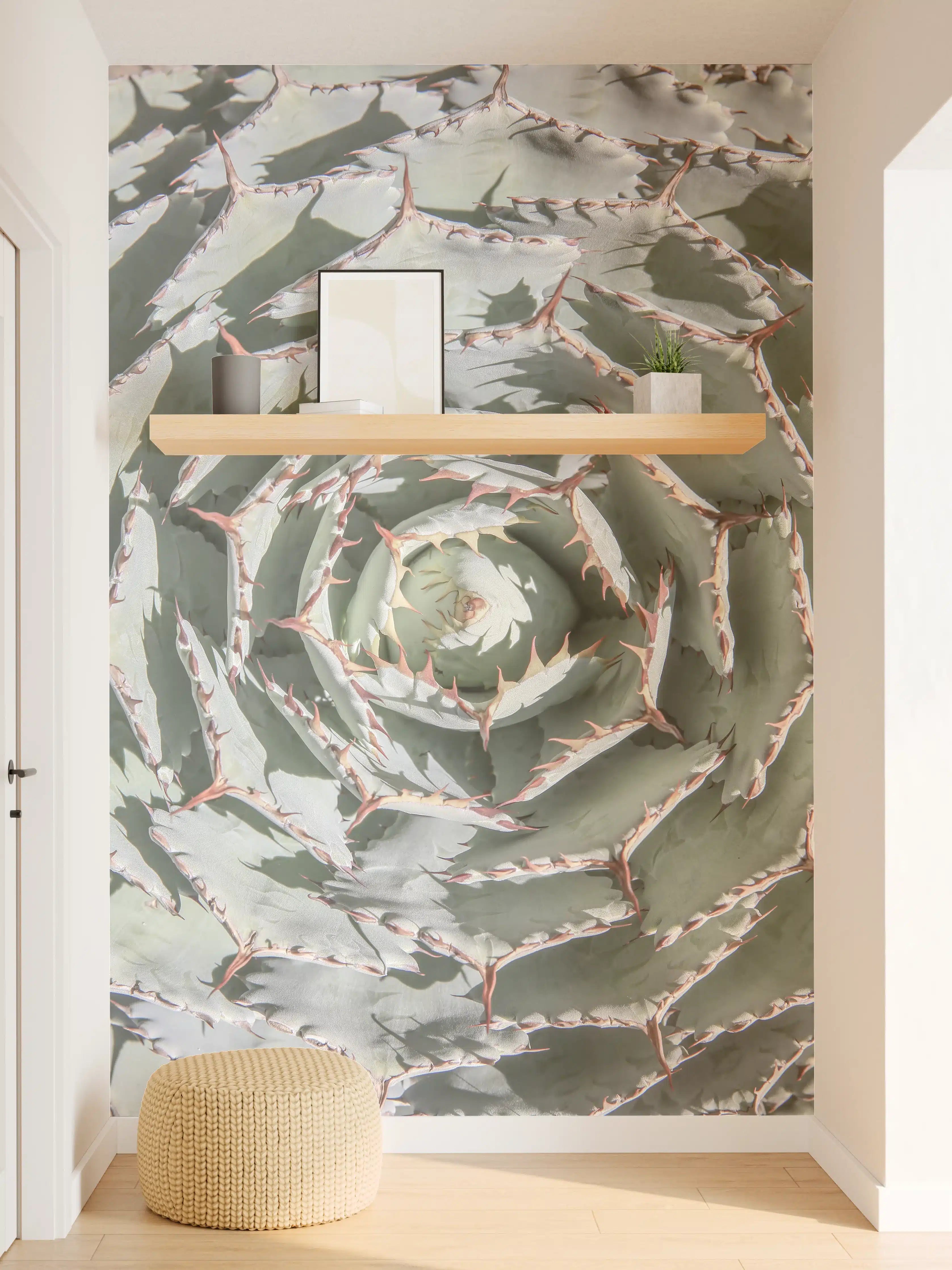 Wandverkleidung Flur - Attraktive Wüstenpflanze in Nahaufnahme