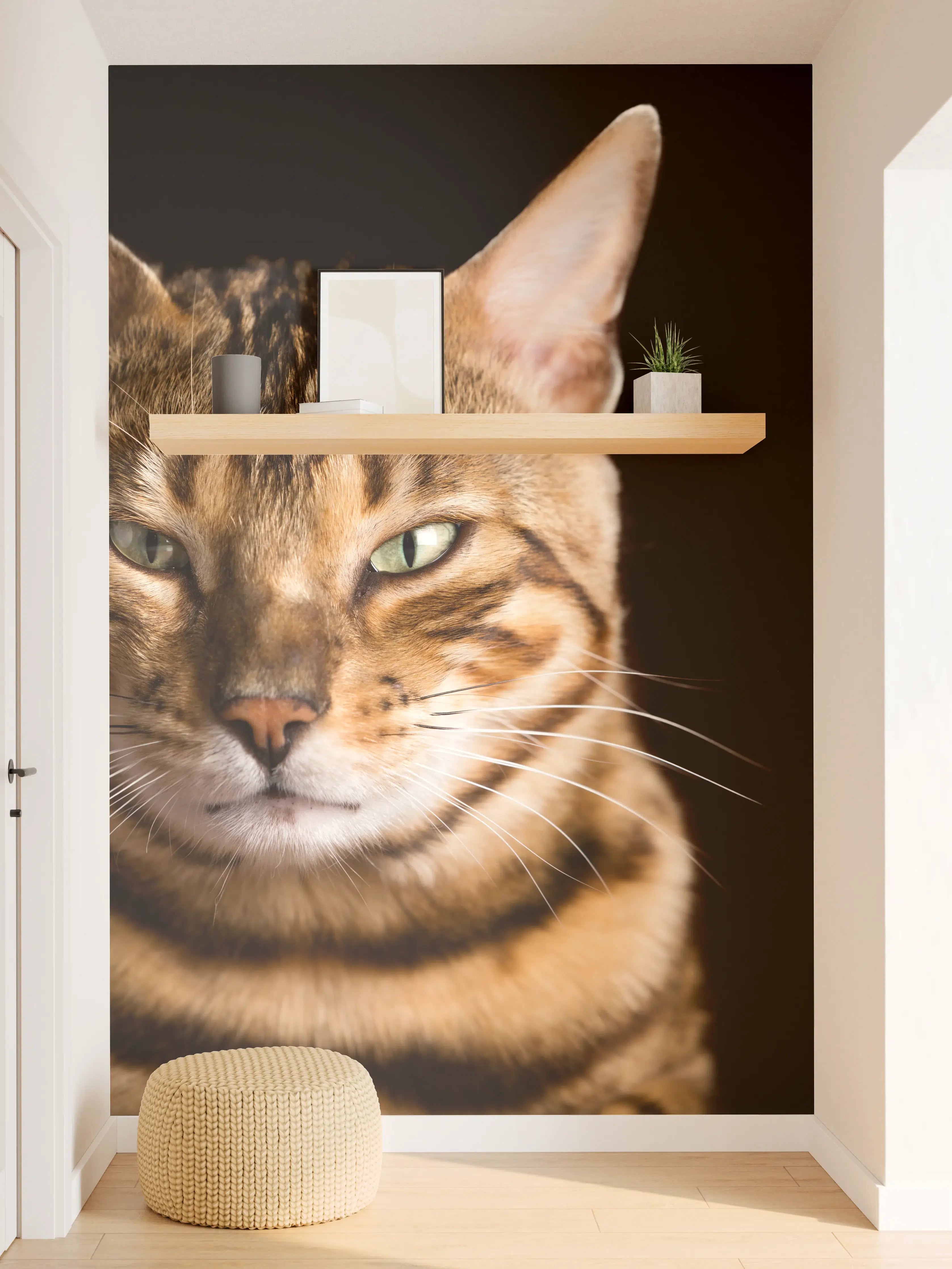 Wandverkleidung Flur - Bengalkatze Portrait