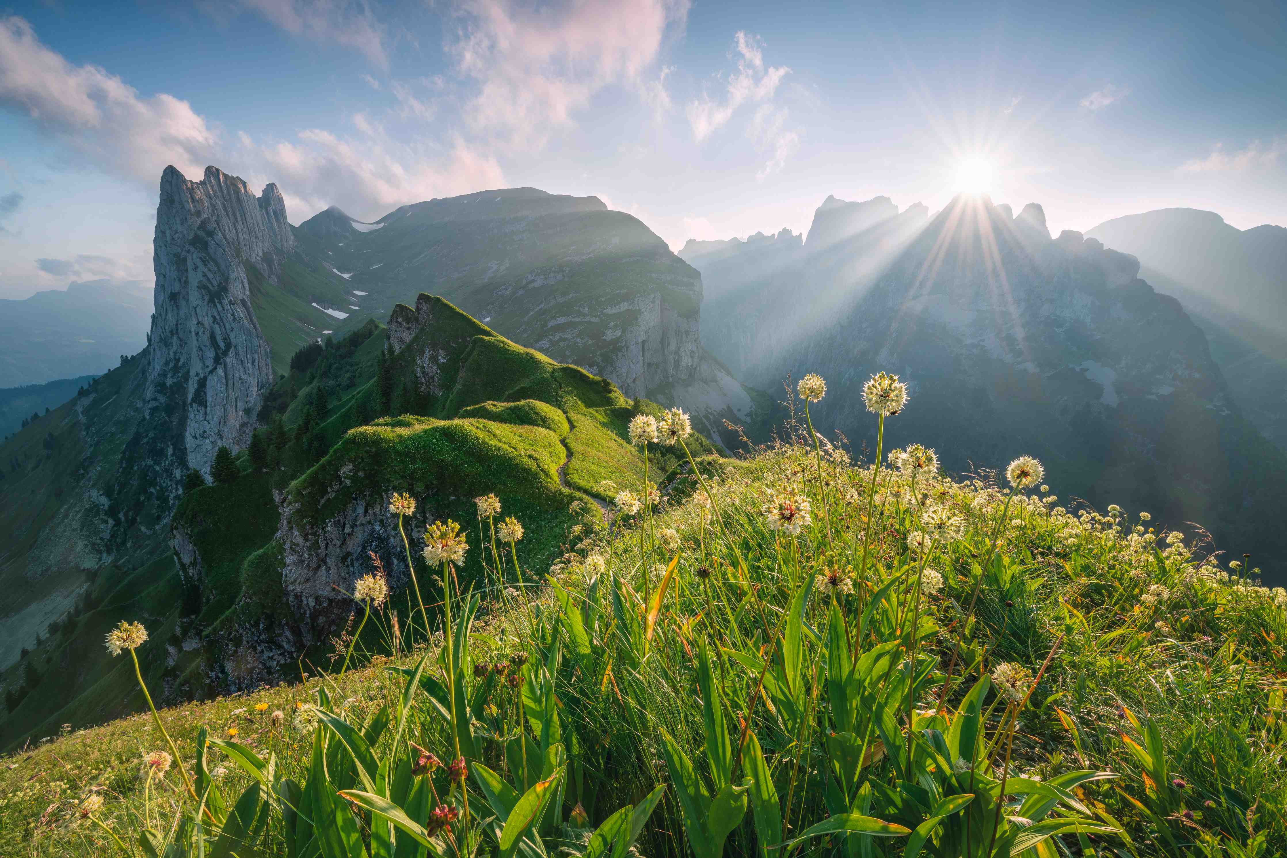 Wandverkleidung Flur-Berglandschaft bei Sonnenaufgang mit Blumen im Vordergrund