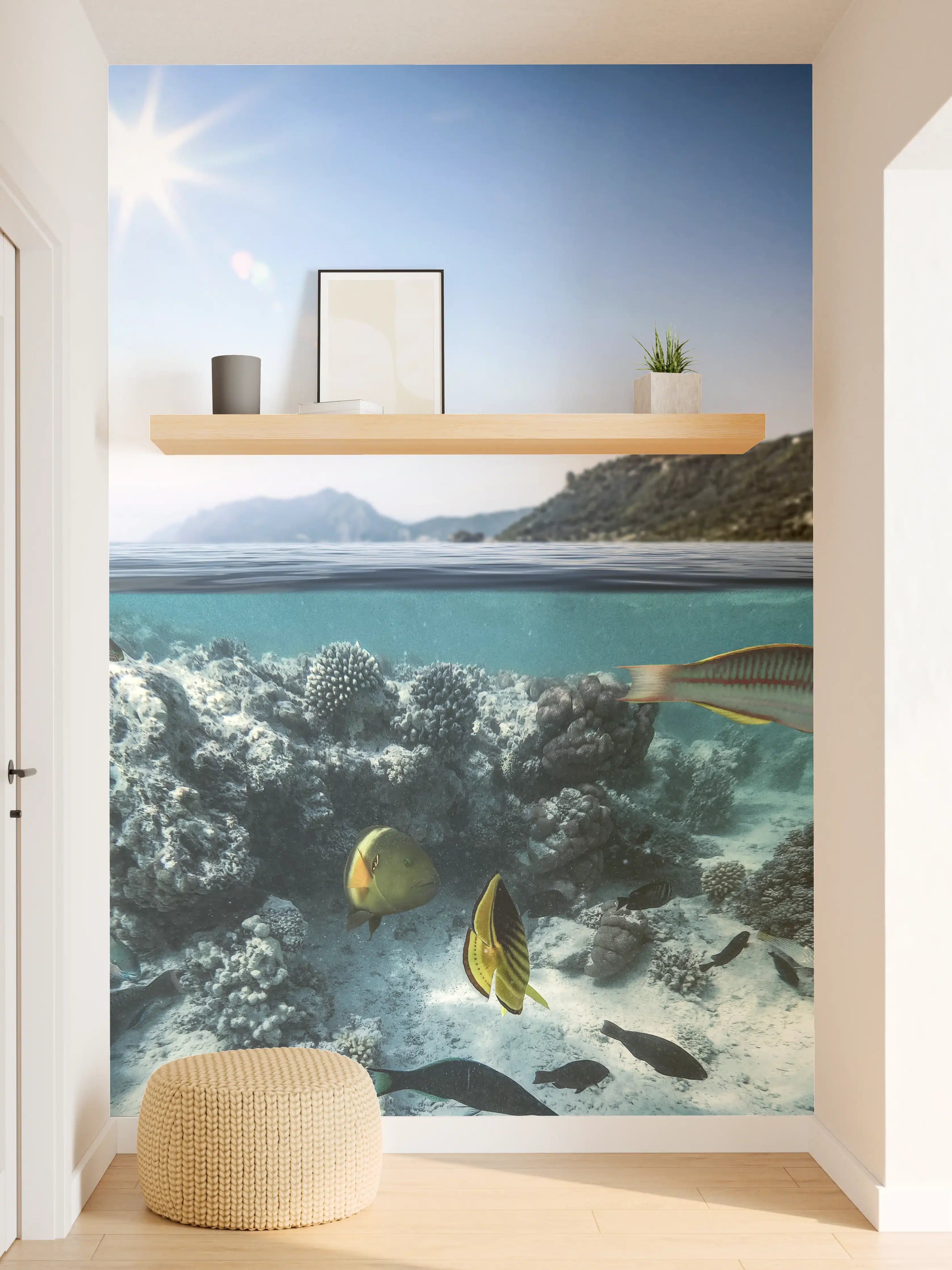 Wandverkleidung Flur - Blick unter Wasser auf bunte Meeresbewohner