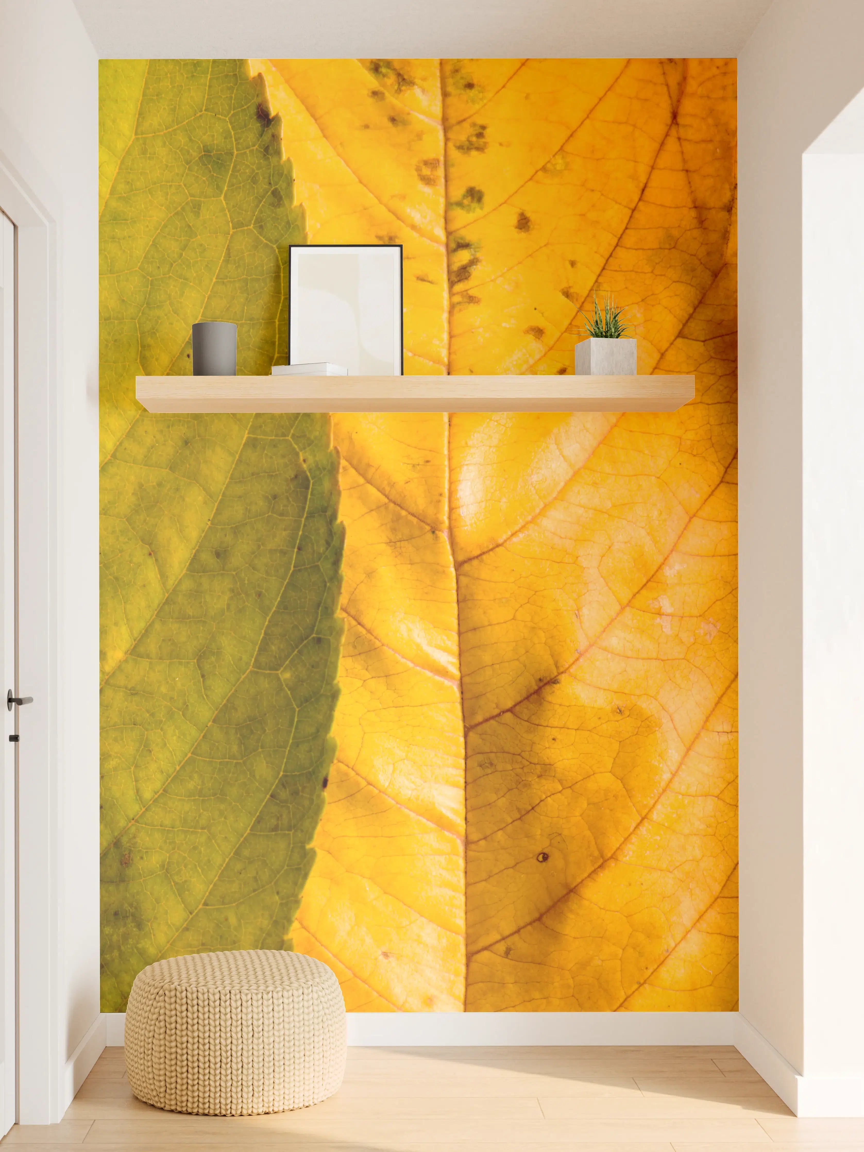 Wandverkleidung Flur - Bunte Herbstblätter in Nahaufnahme