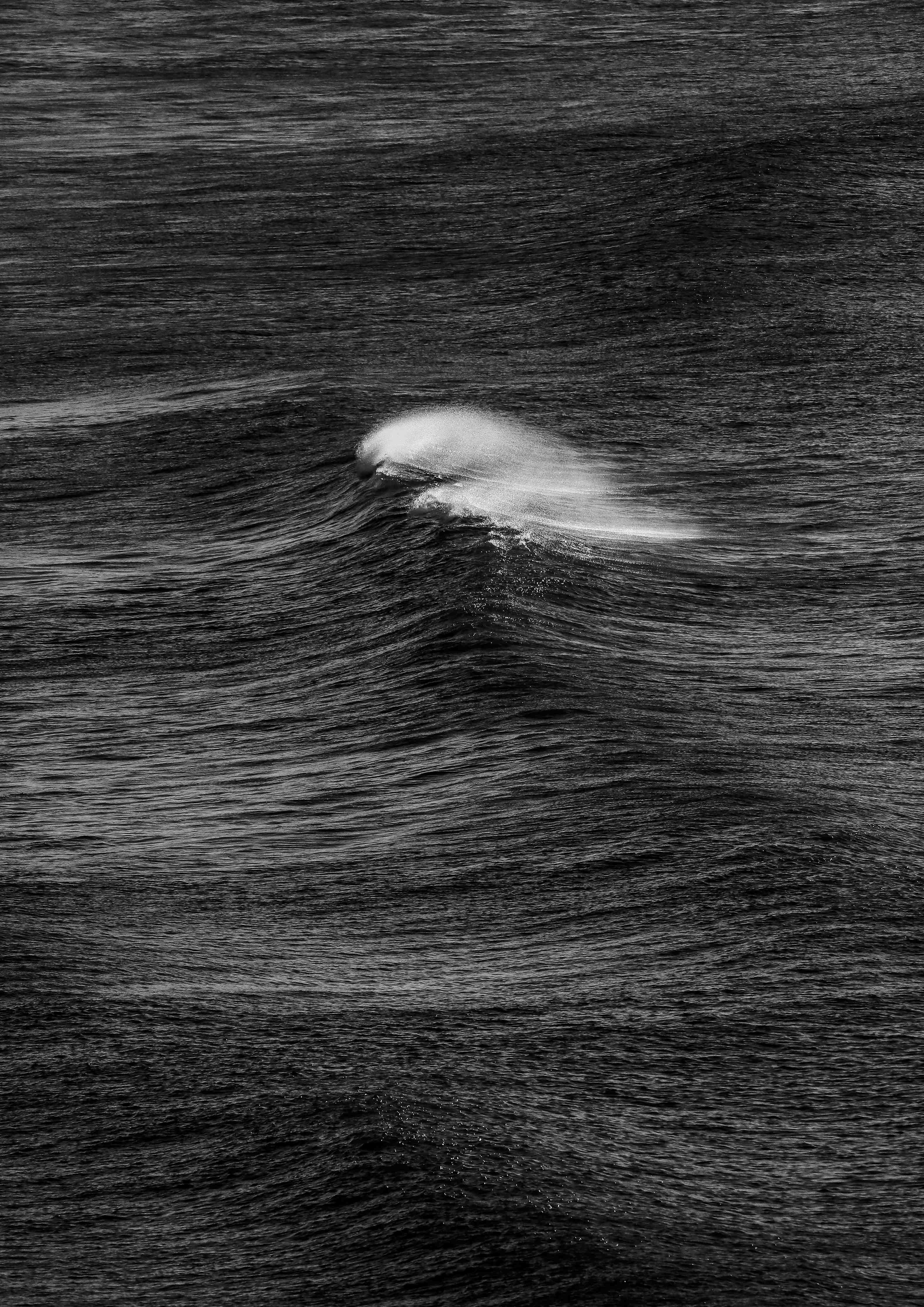 Wandverkleidung Flur-Dramatisches Wellenbild in Schwarz-Weiß