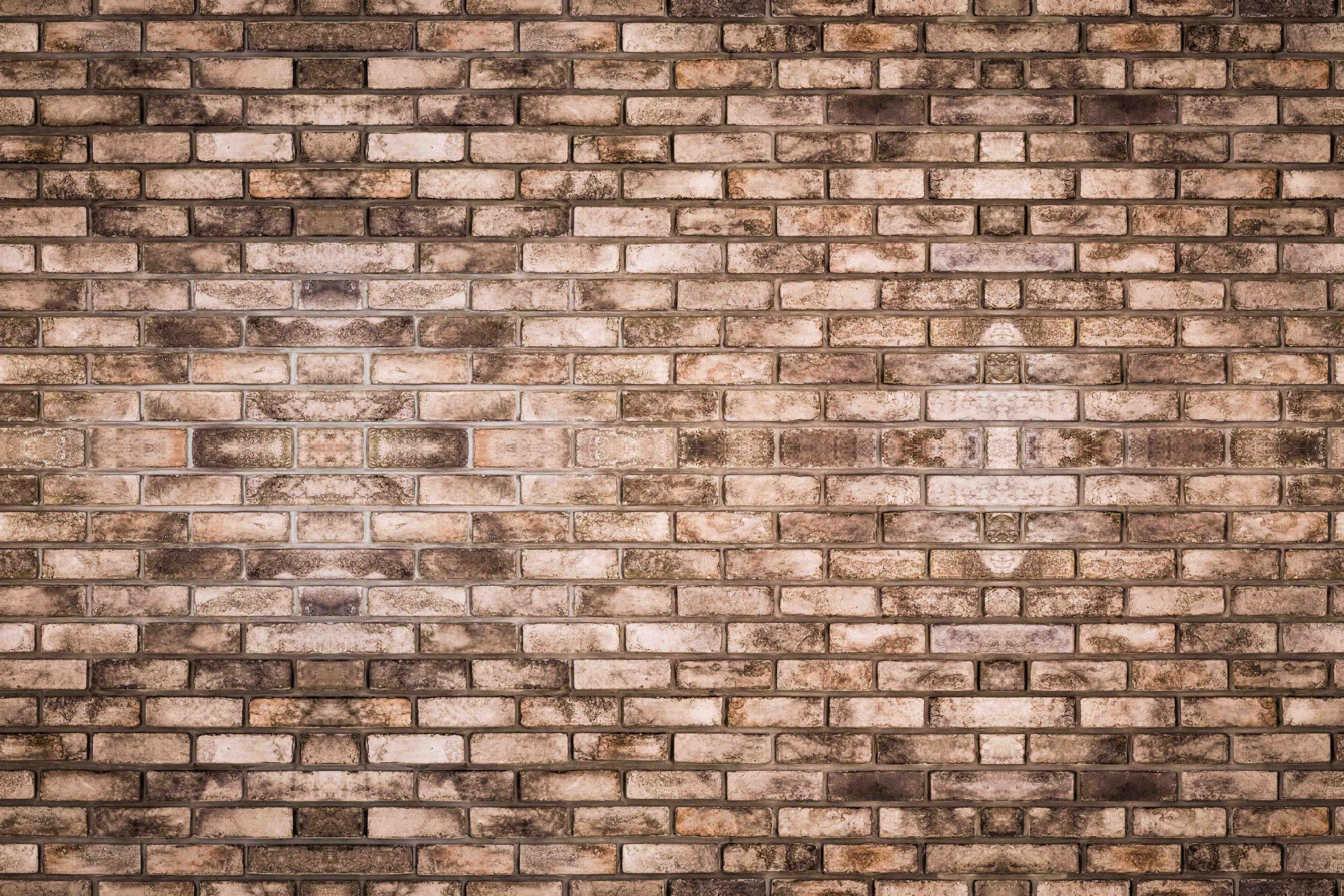 Wandverkleidung Flur-Dunkelbraune Steinmauer