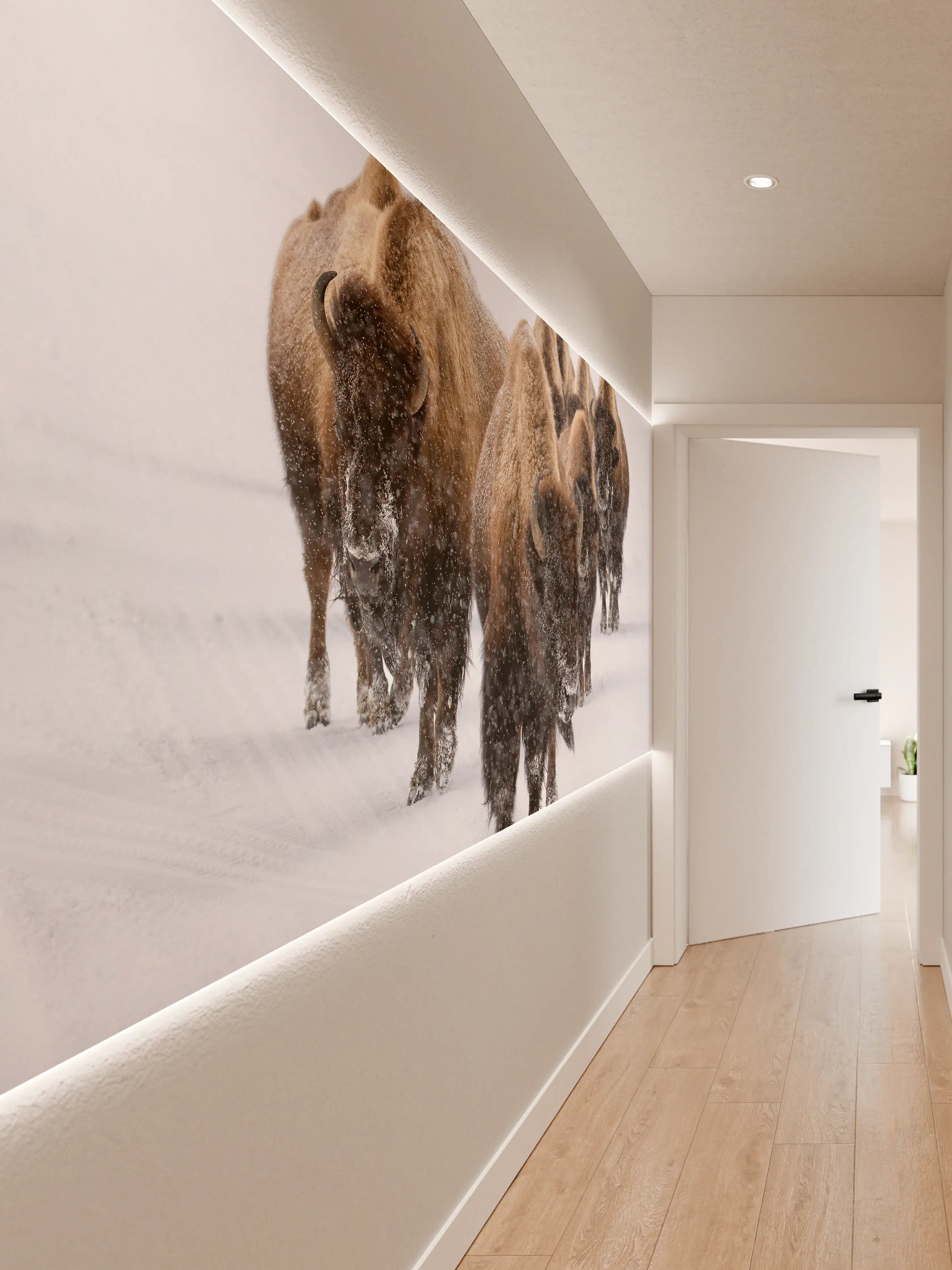 Wandverkleidung Flur - Eine Bison Herde