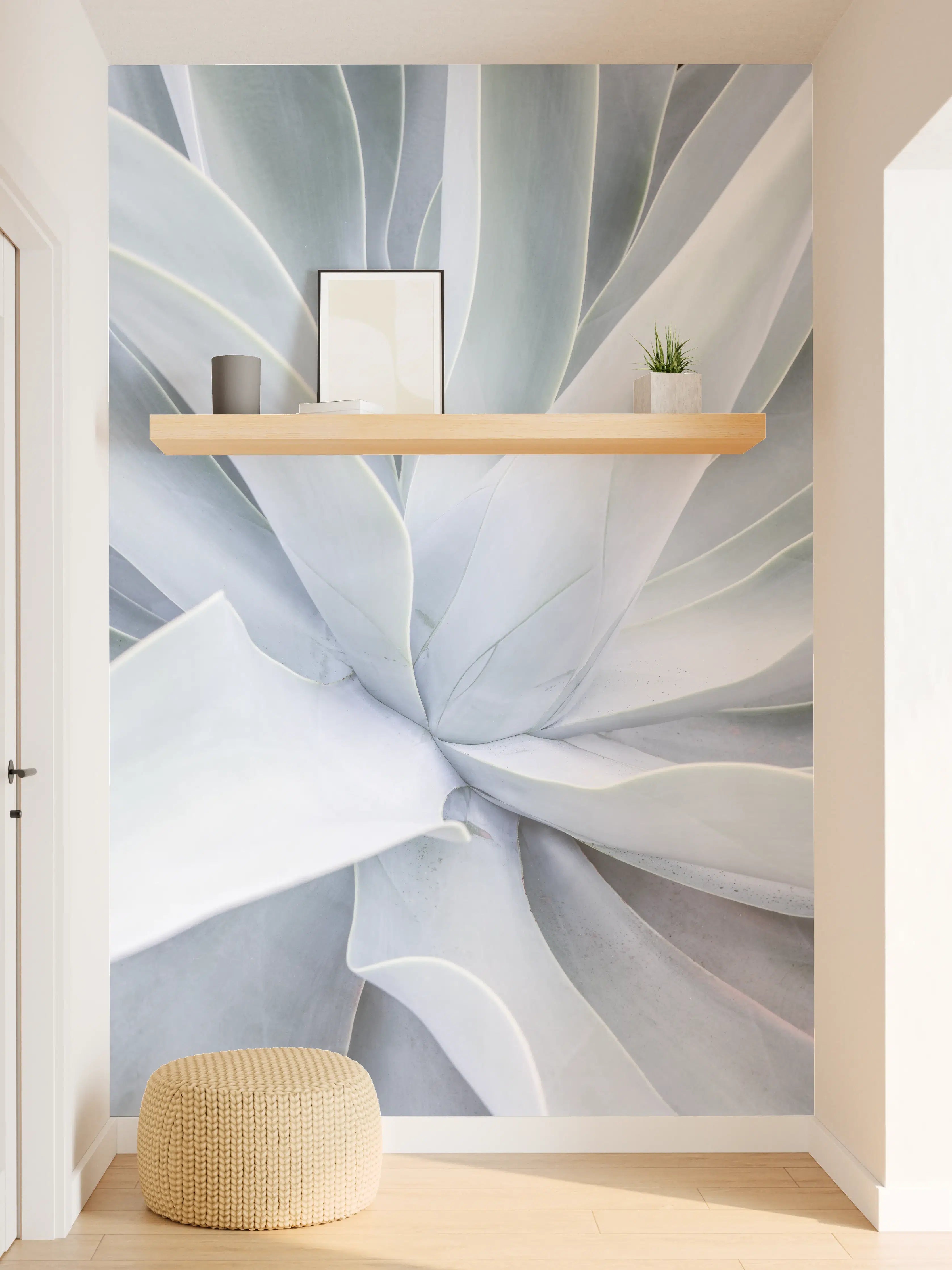 Wandverkleidung Flur - Elegante Echeveria im minimalistischen Stil