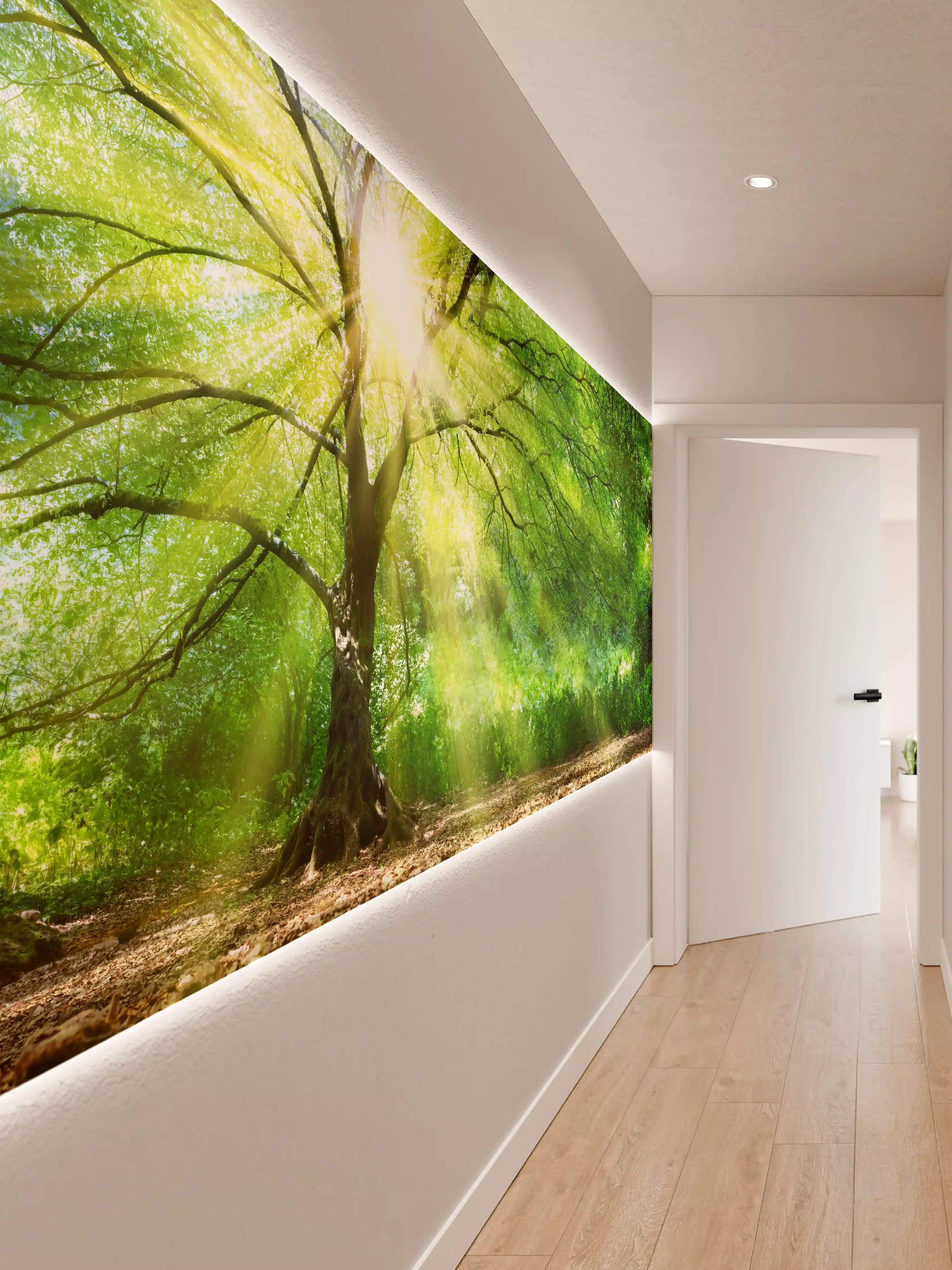 Wandverkleidung Flur - Energiegeladener Wald