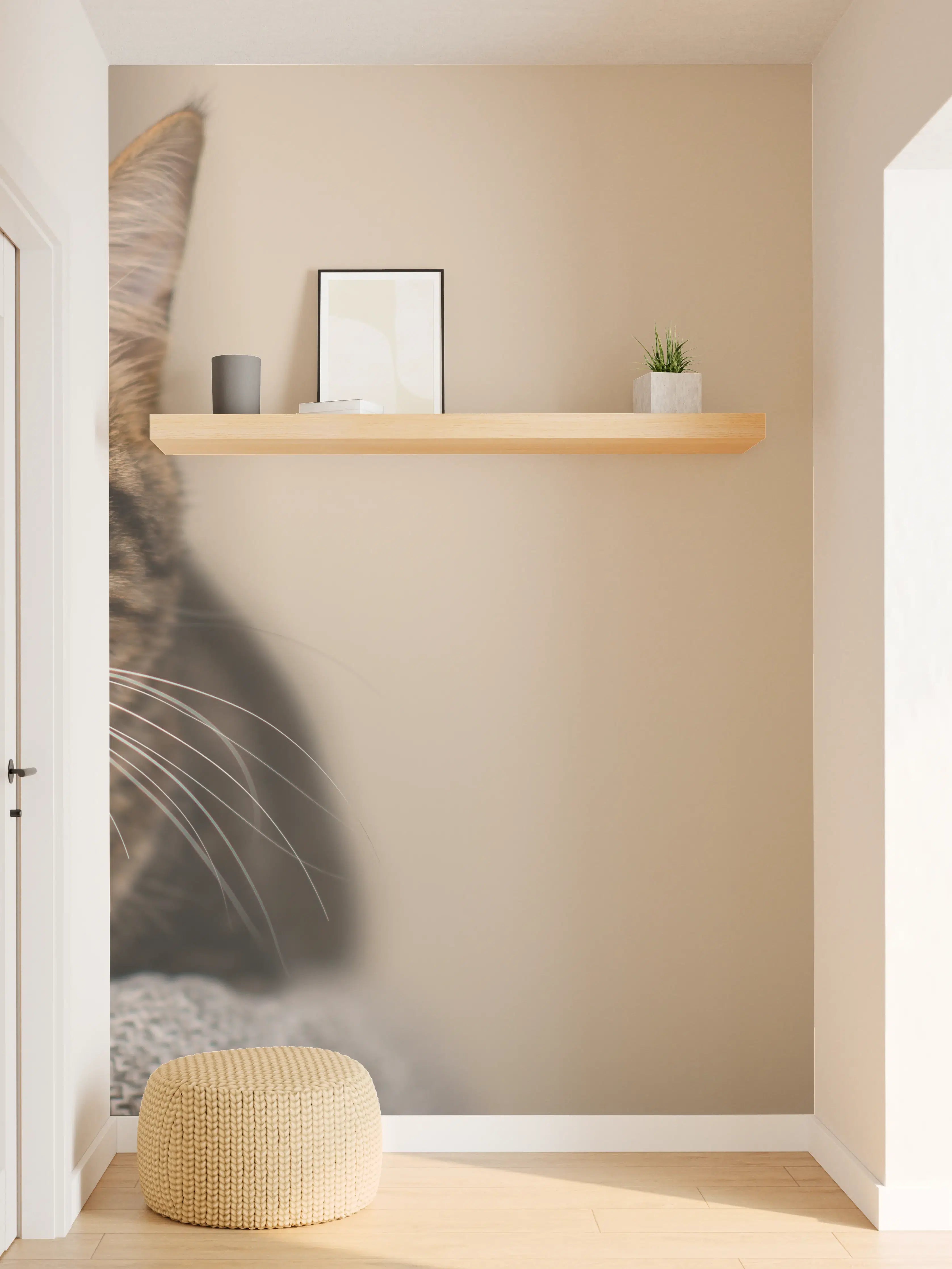 Wandverkleidung Flur - Entspannte Hauskatze in Beige-Braun