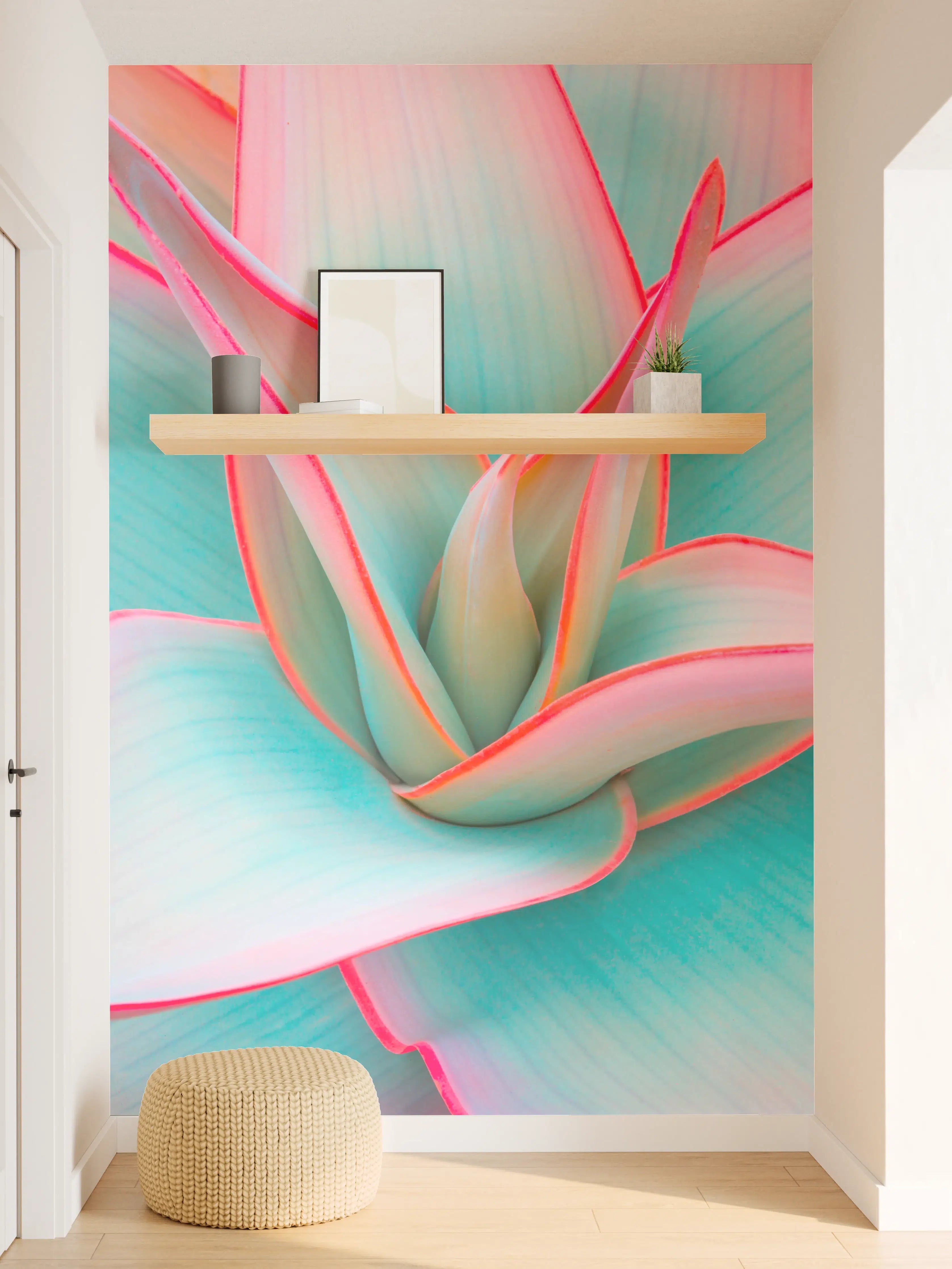 Wandverkleidung Flur - Farbenfrohes Echeveria im Fokus