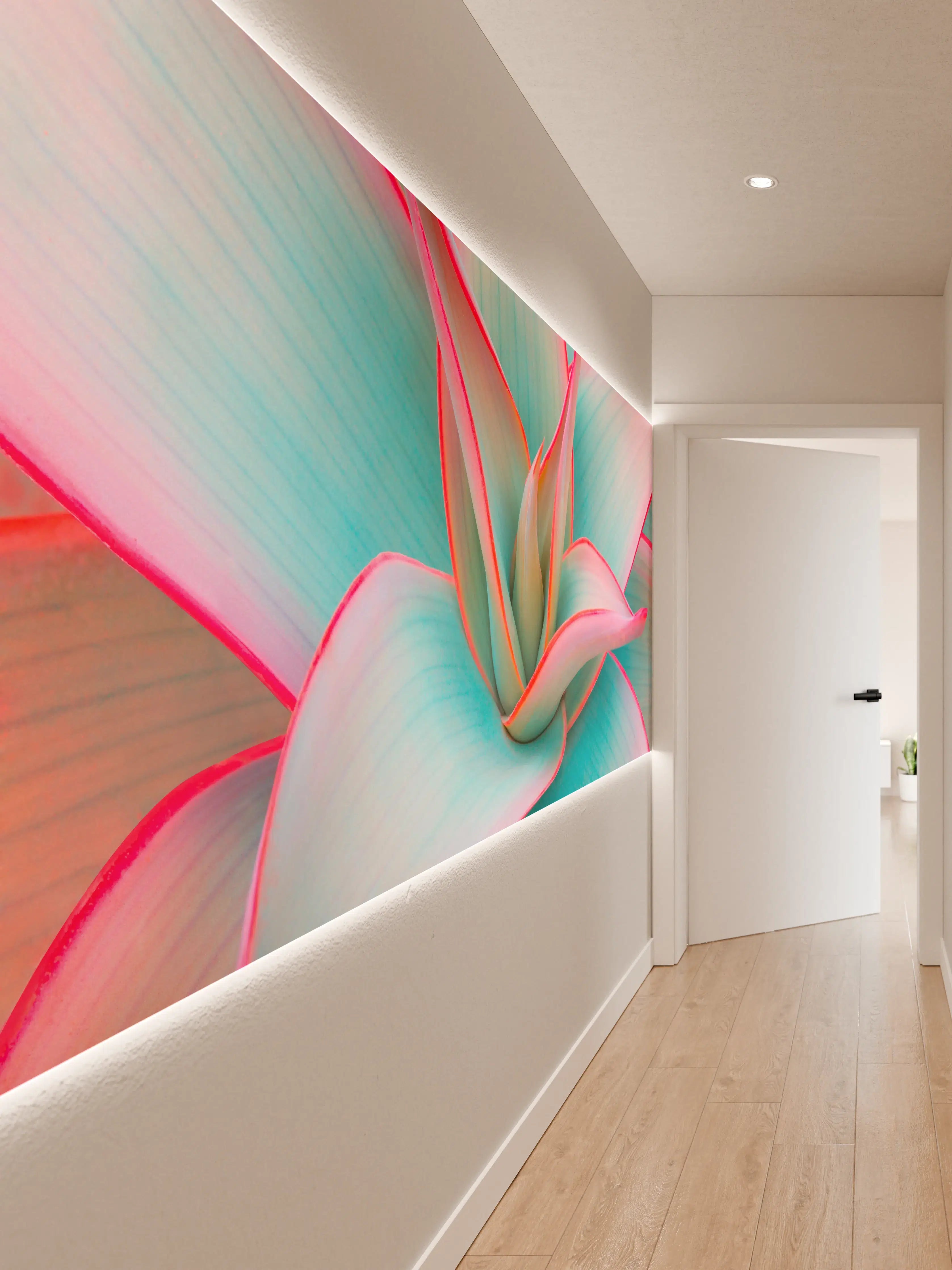 Wandverkleidung Flur - Farbenfrohes Echeveria im Fokus