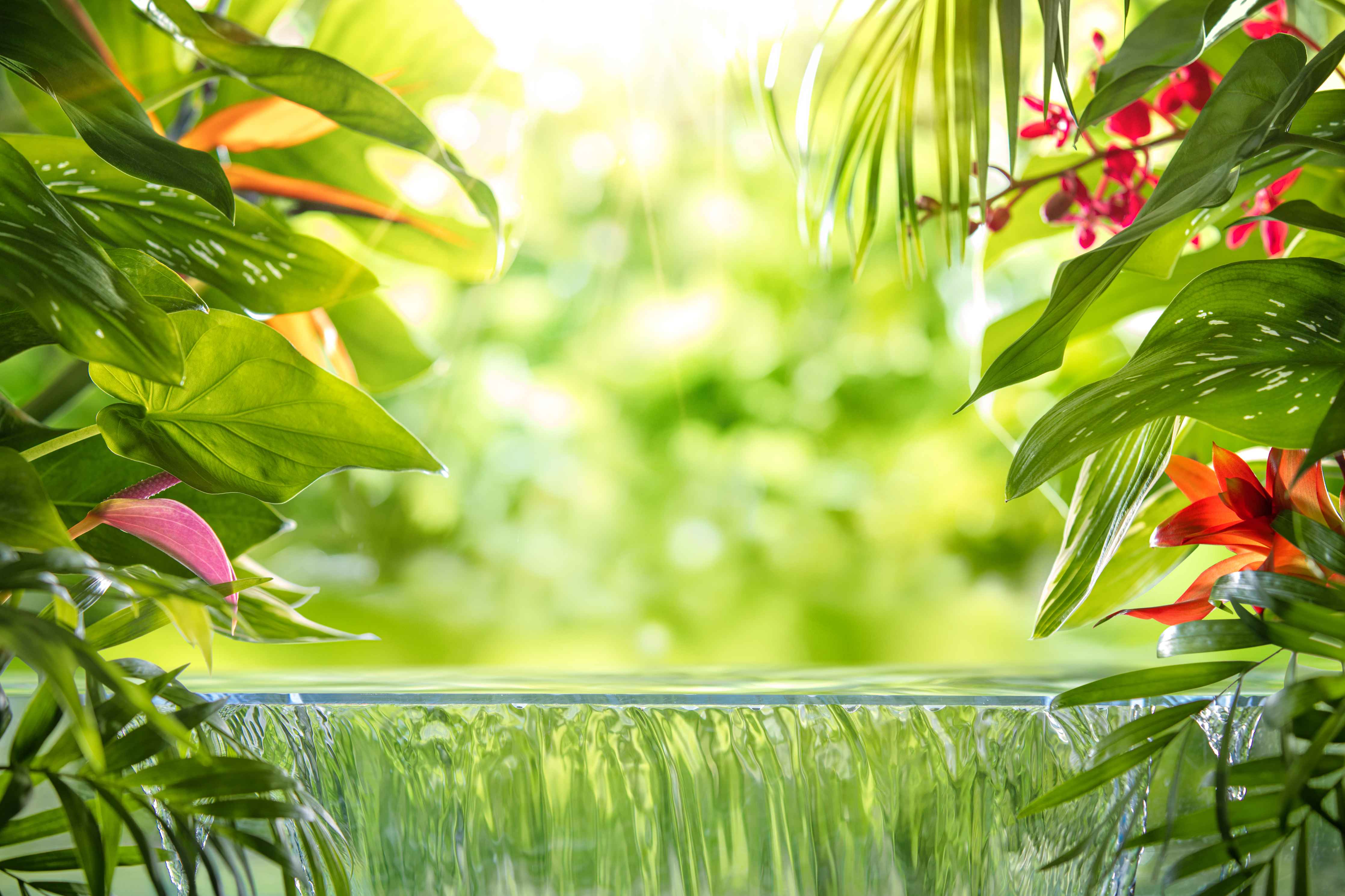 Wandverkleidung Flur-Frühling in der Natur – Grüne Blätter und bunte Blumen
