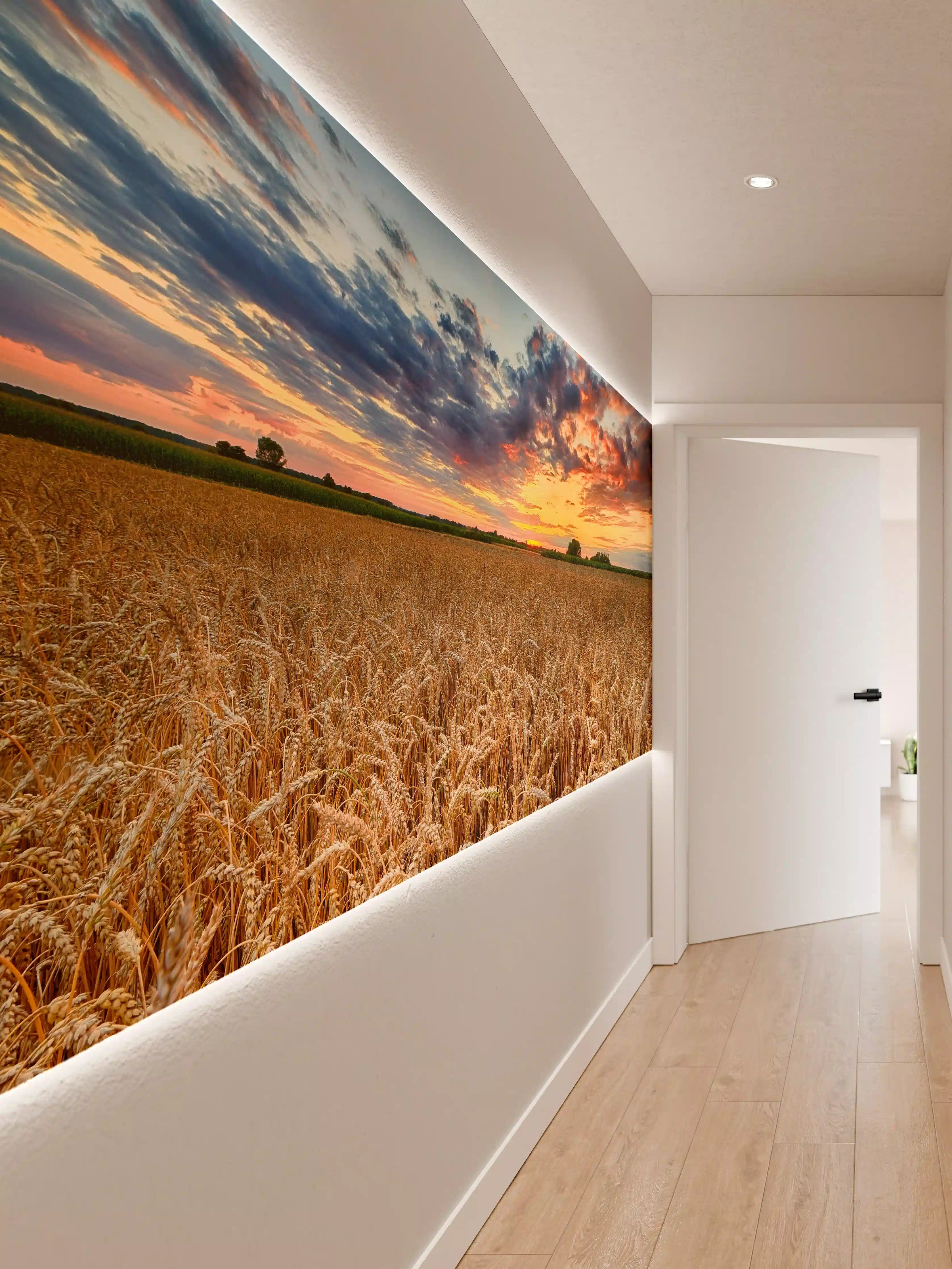 Wandverkleidung Flur - Goldenes Getreidefeld bei Sonnenuntergang