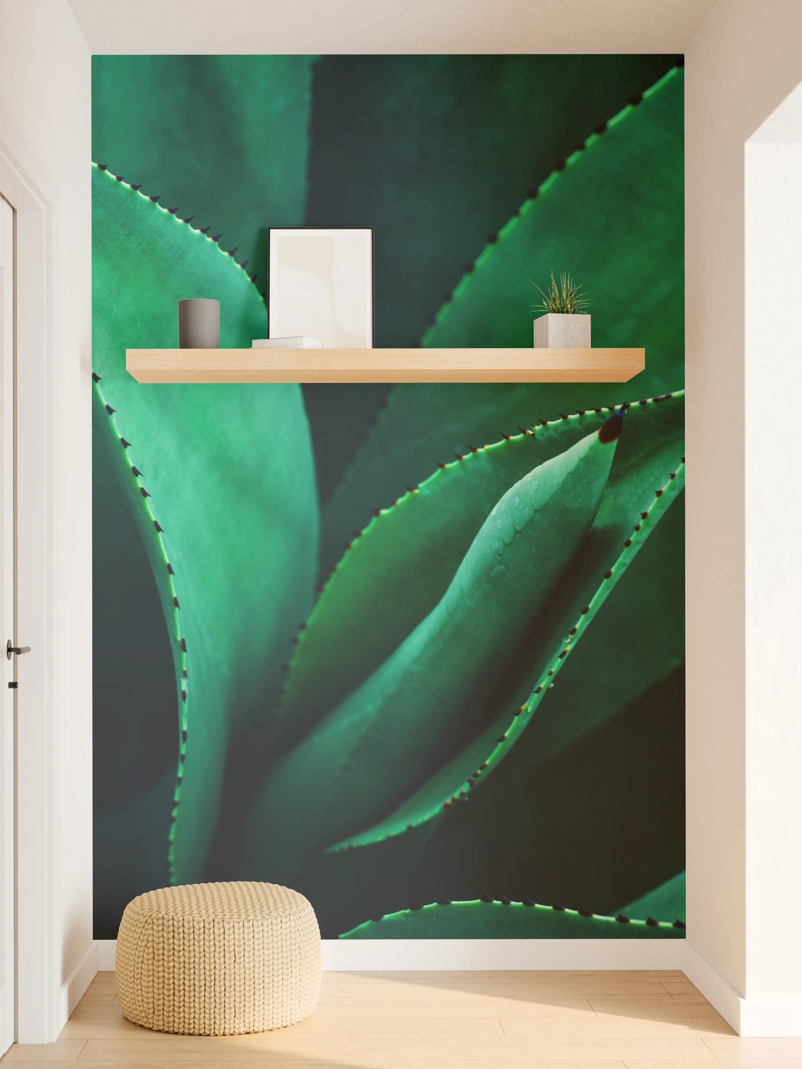 Wandverkleidung Flur - Grüne Aloe Vera Pflanze