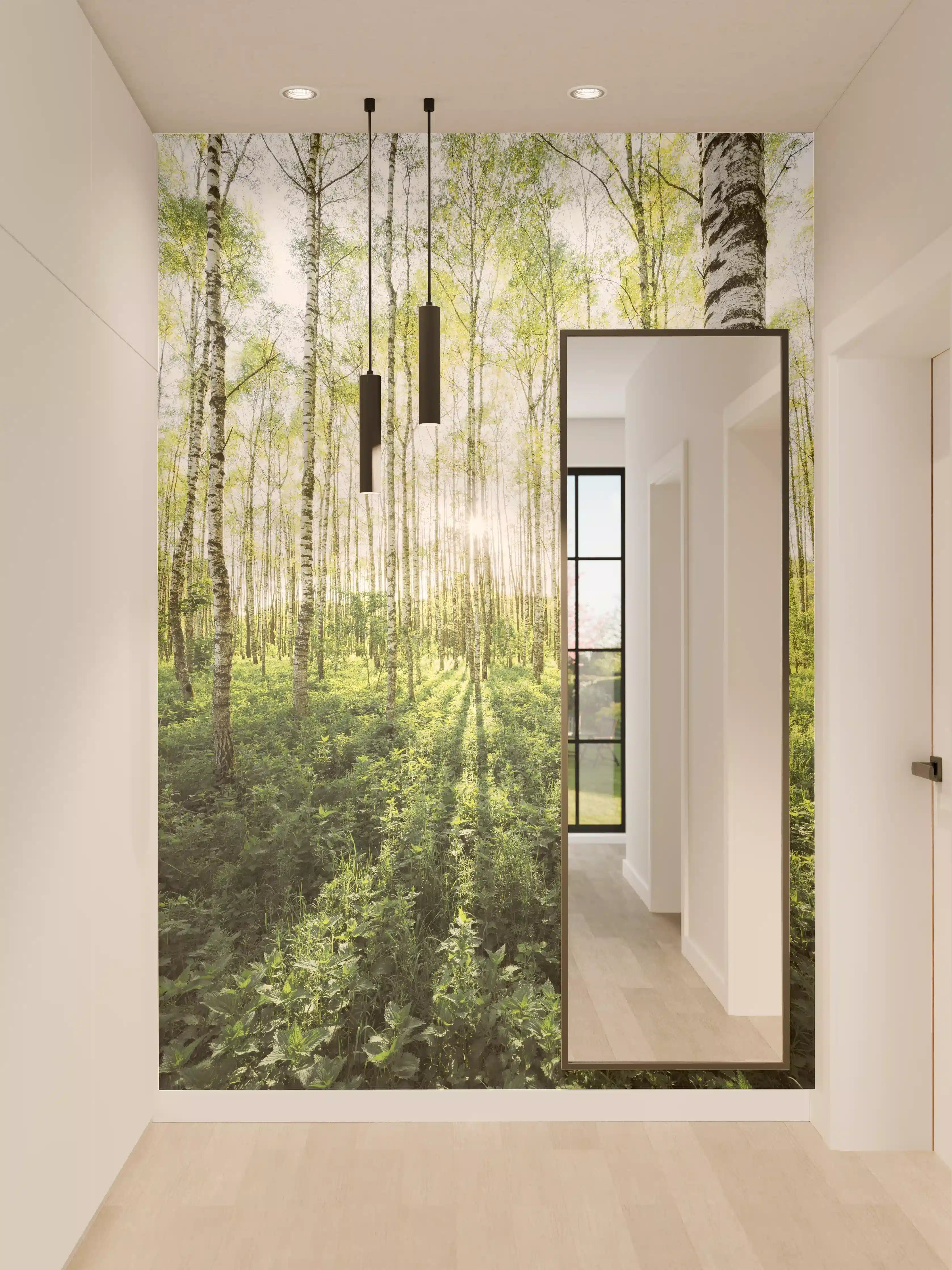 Wandverkleidung Flur - Heller Birkenwald im Sonnenlicht