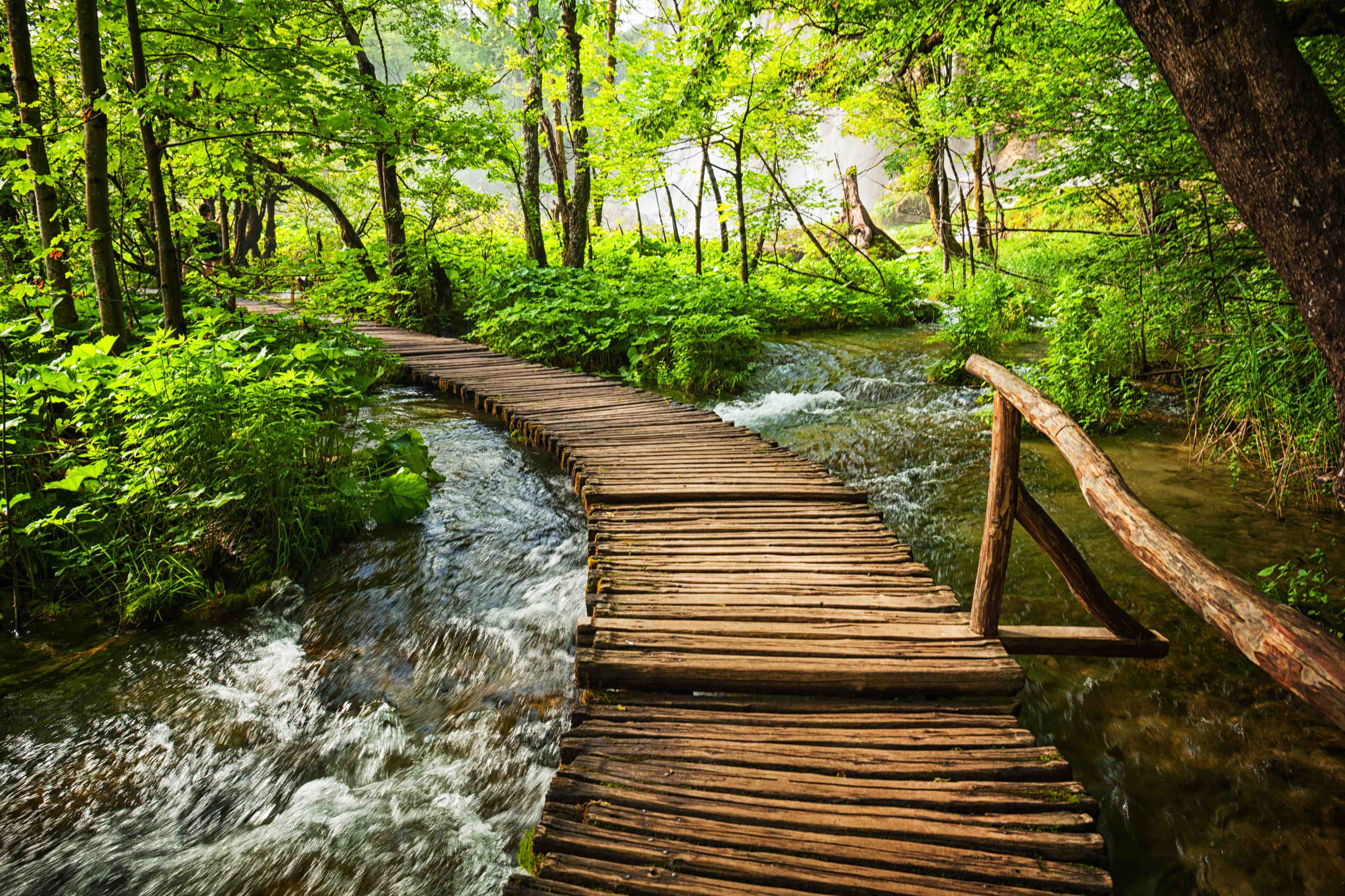 Wandverkleidung Flur-Idyllischer Waldweg über Holzbrücke