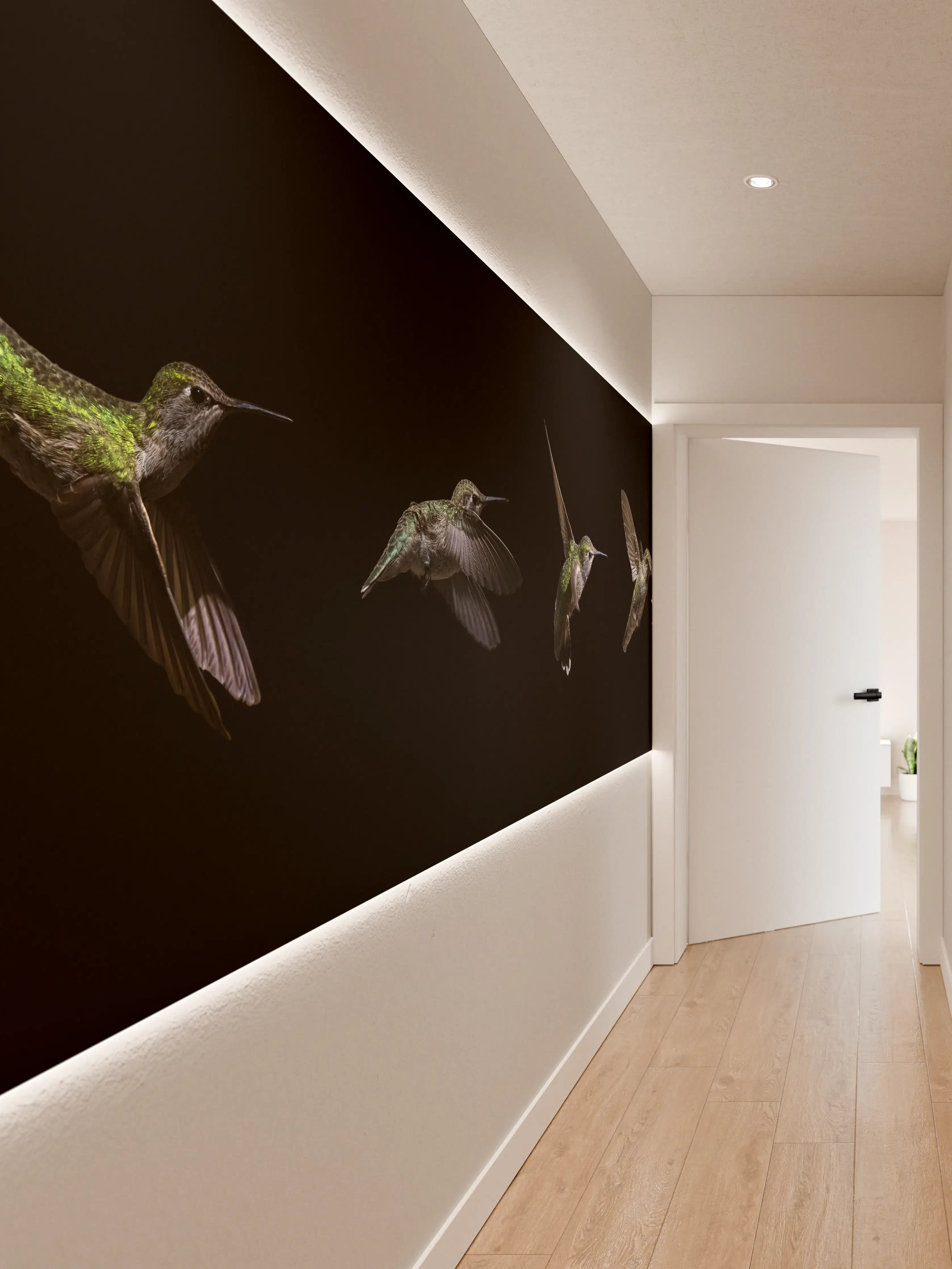 Wandverkleidung Flur - Kolibri beim Fressen der Aloe Vera-Blüte