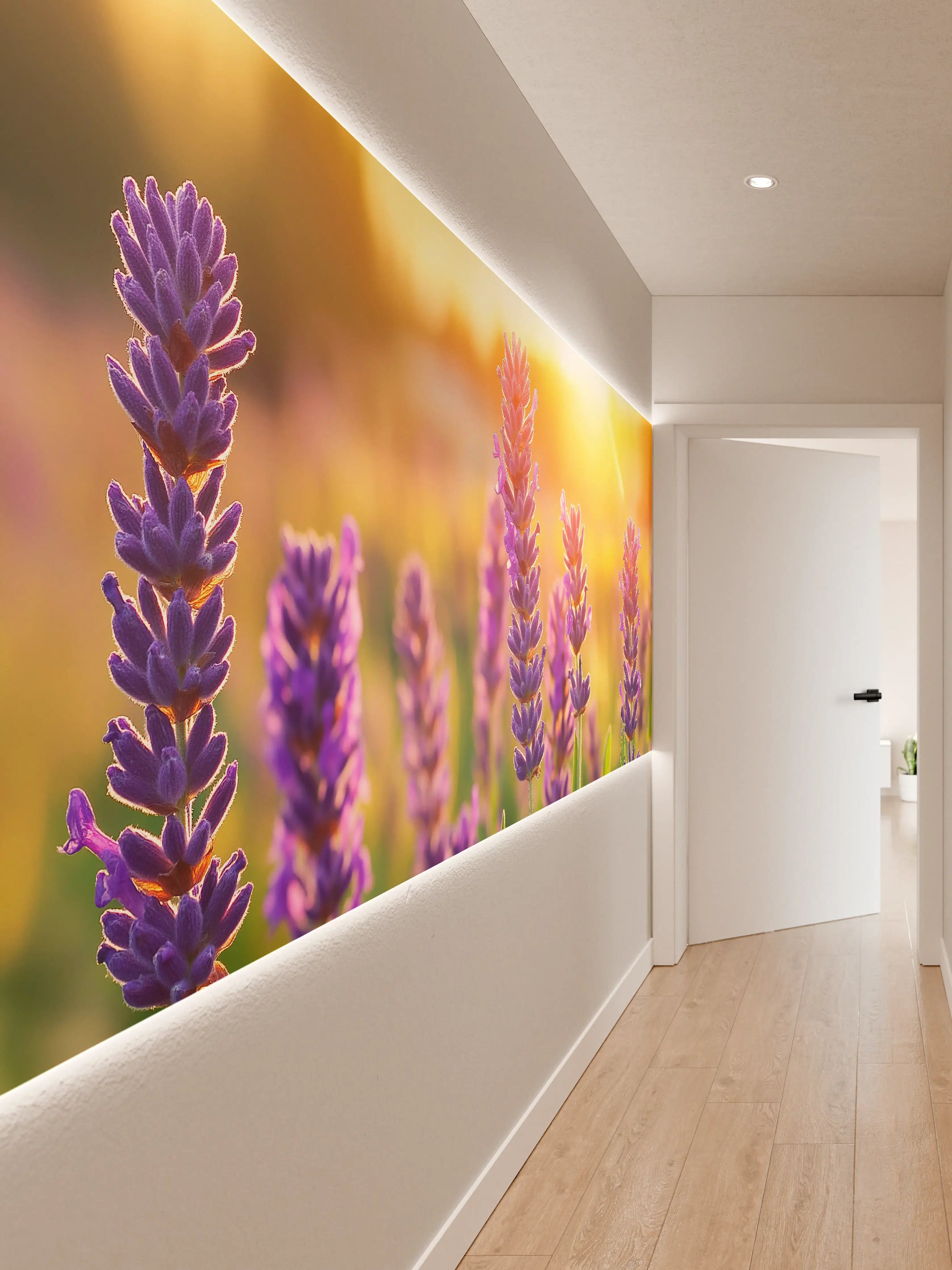 Wandverkleidung Flur - Lavendel in goldenem Abendlicht