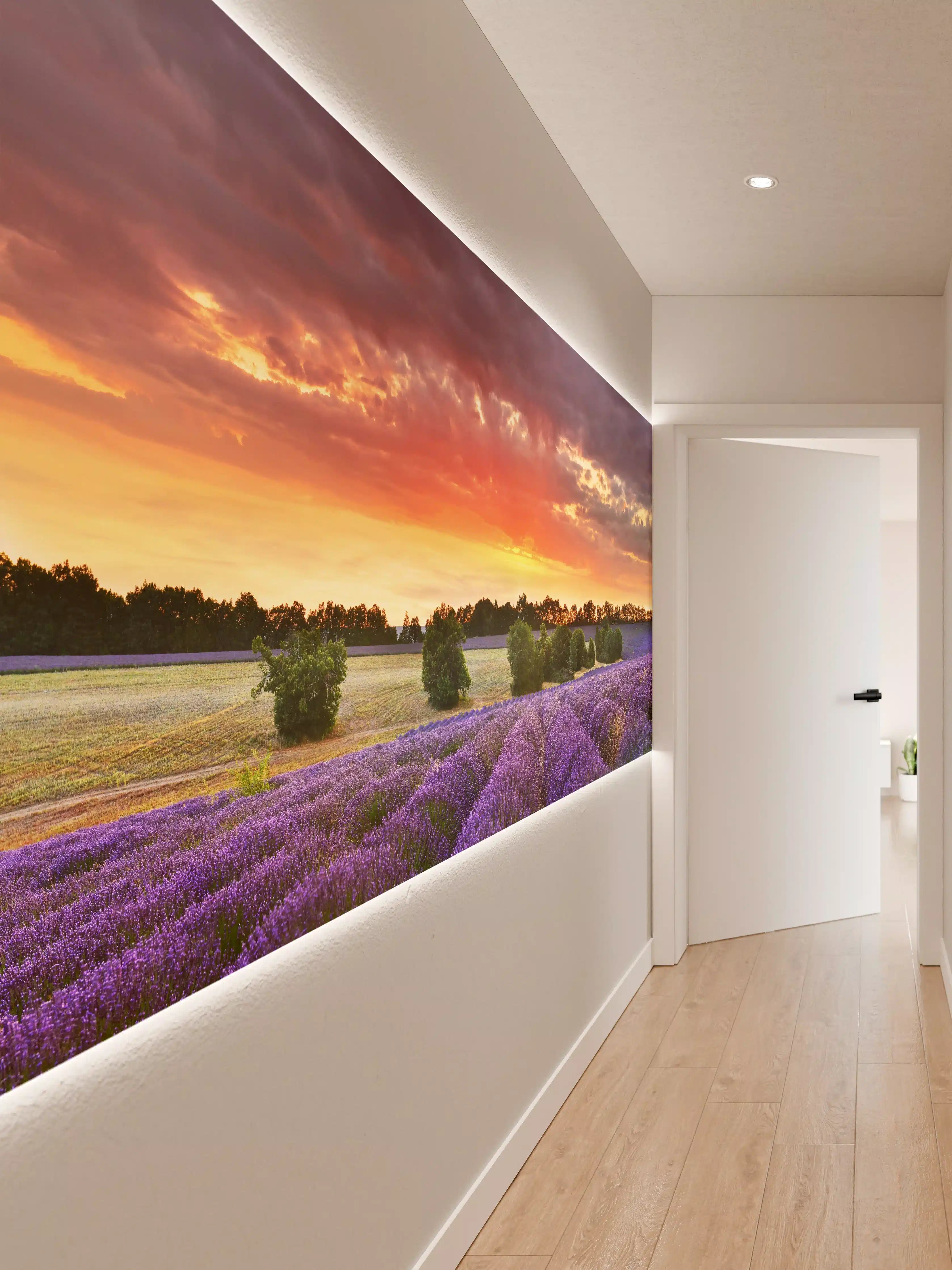 Wandverkleidung Flur - Lavendelfeld bei Sonnenuntergang