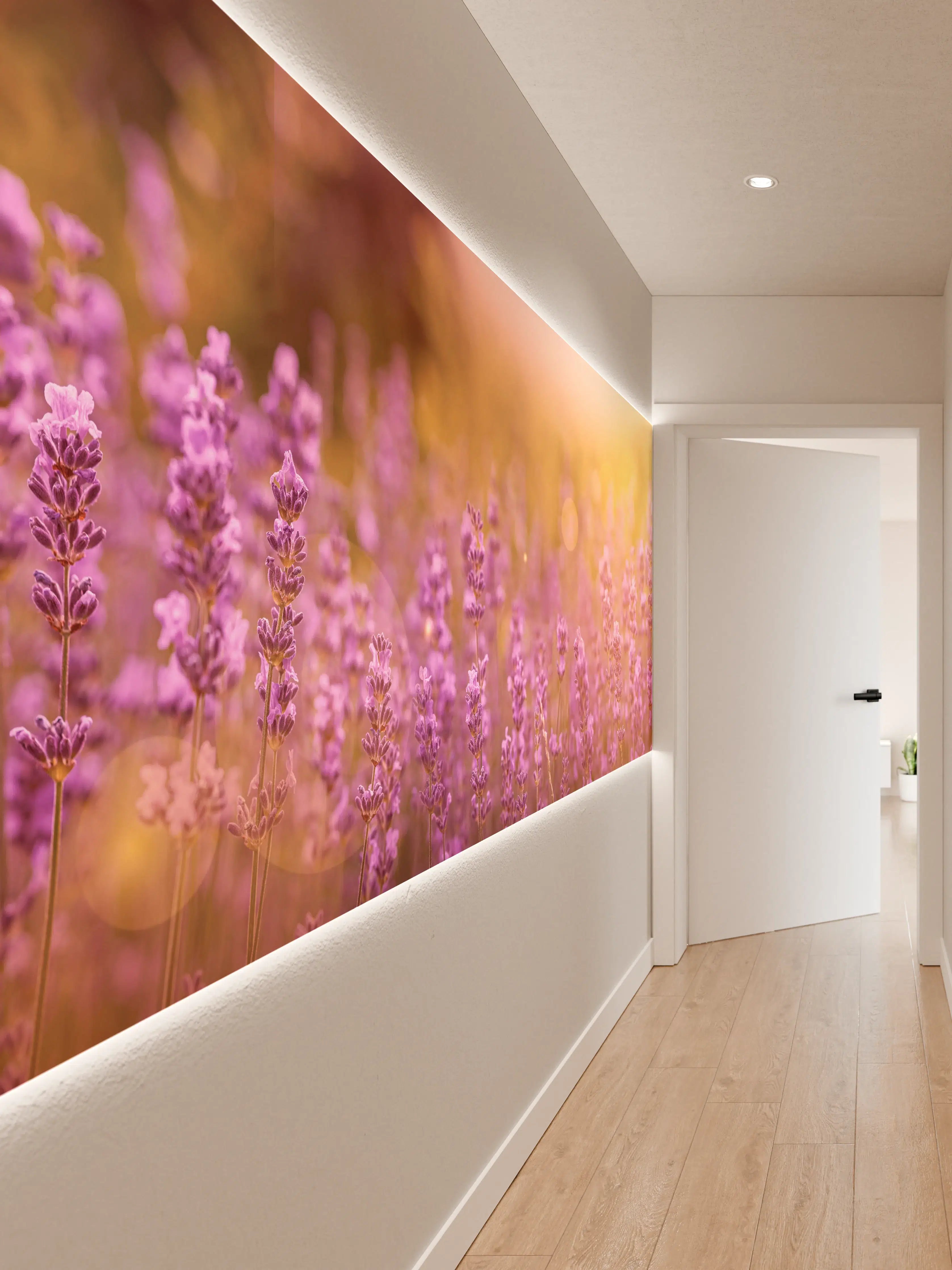 Wandverkleidung Flur - Lavendelfeld im warmen Abendlicht