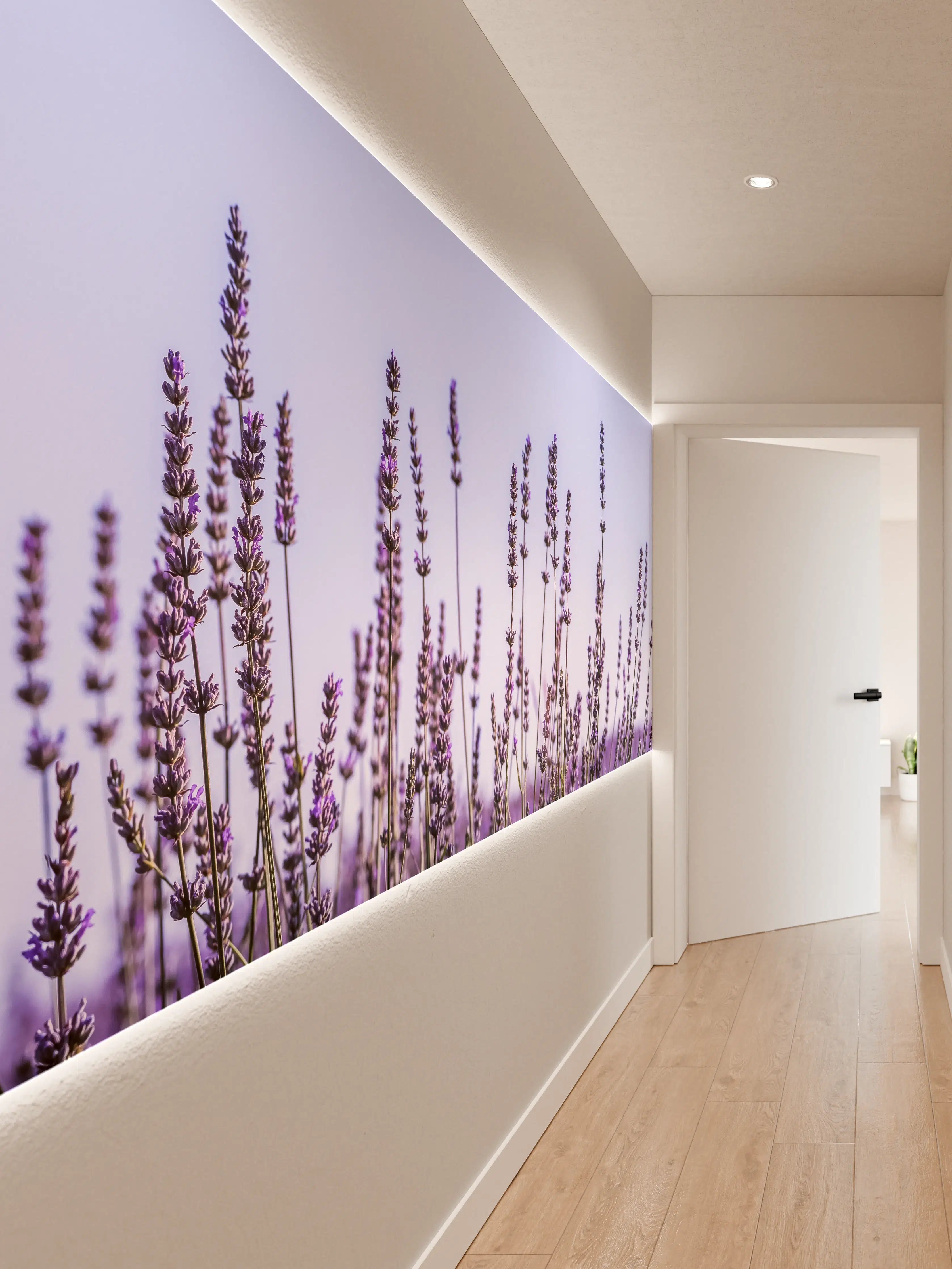 Wandverkleidung Flur - Lavendelfeld in Lila-Blau
