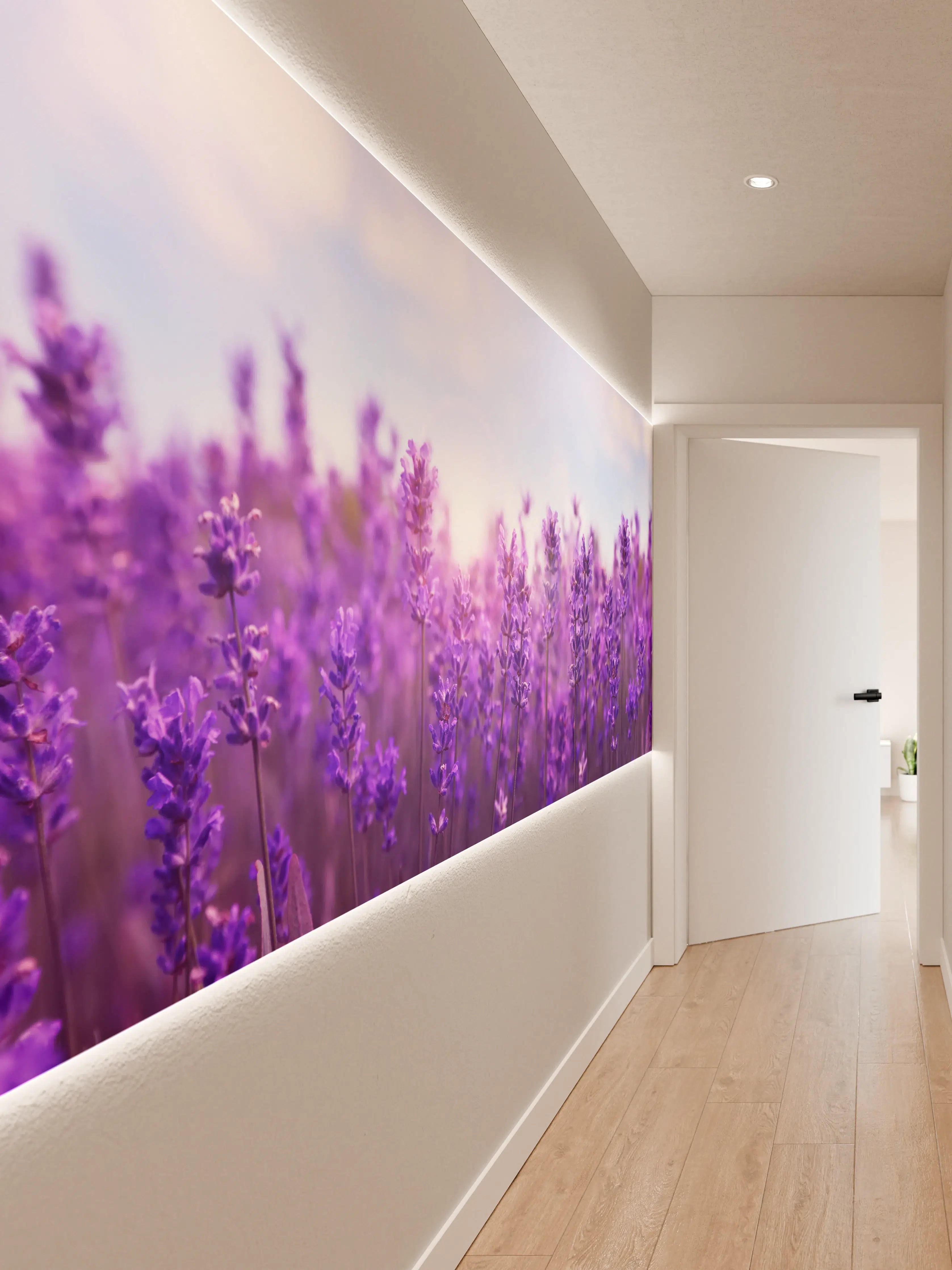 Wandverkleidung Flur - Lavendelfeld in Lila