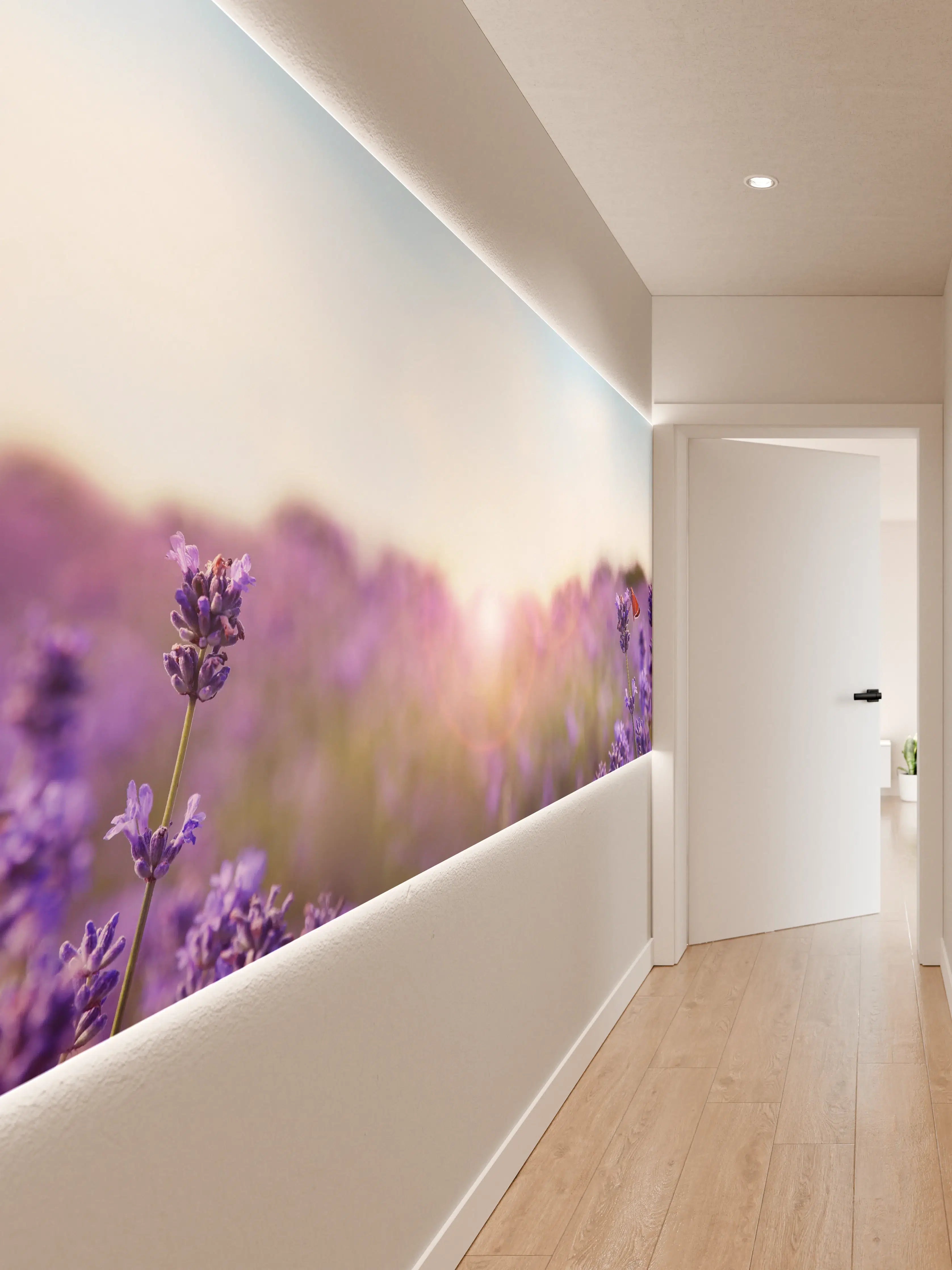 Wandverkleidung Flur - Lila Lavendelfeld im Morgenlicht