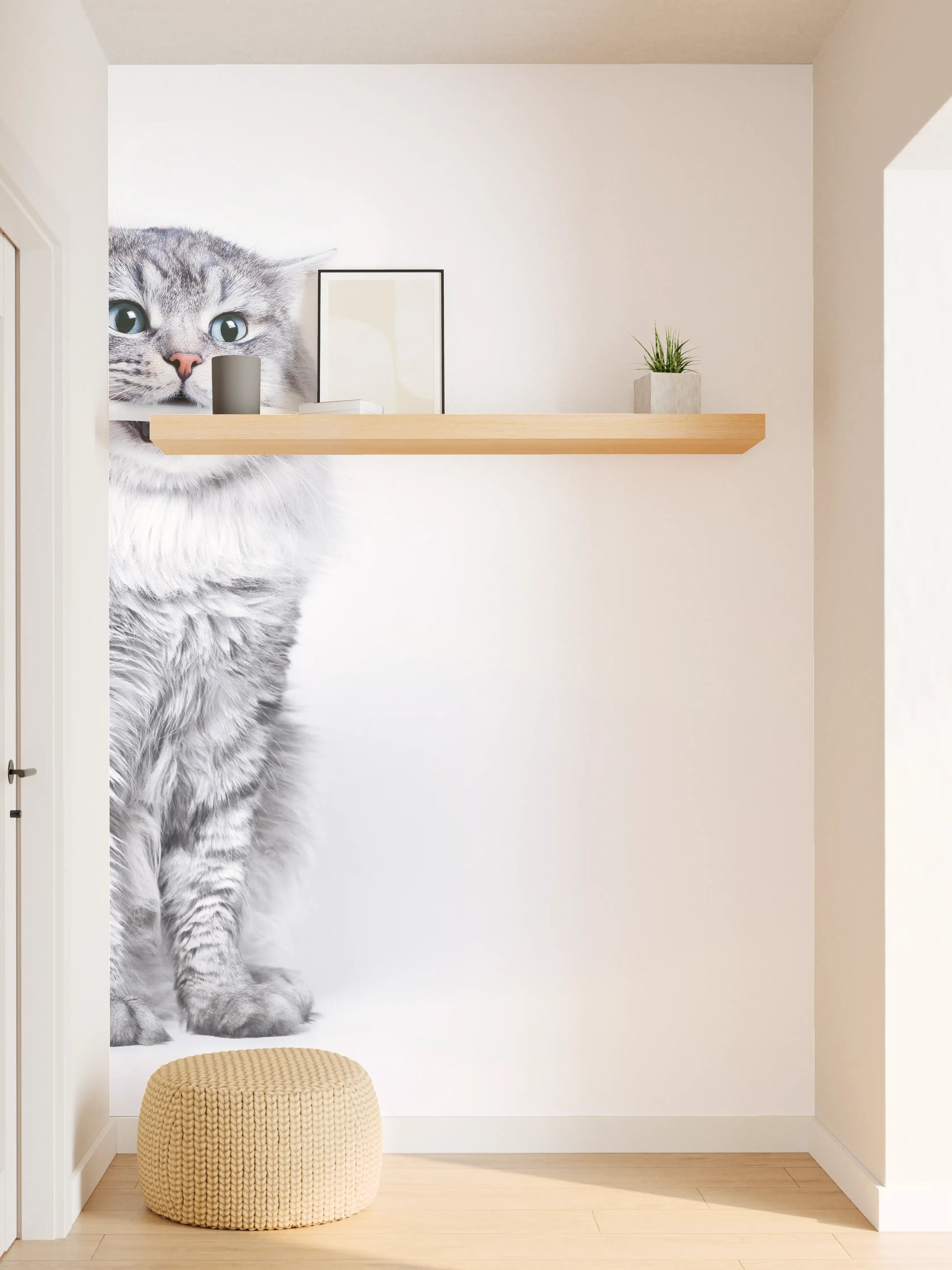 Wandverkleidung Flur - Lustige Katze mit Zahnbürste