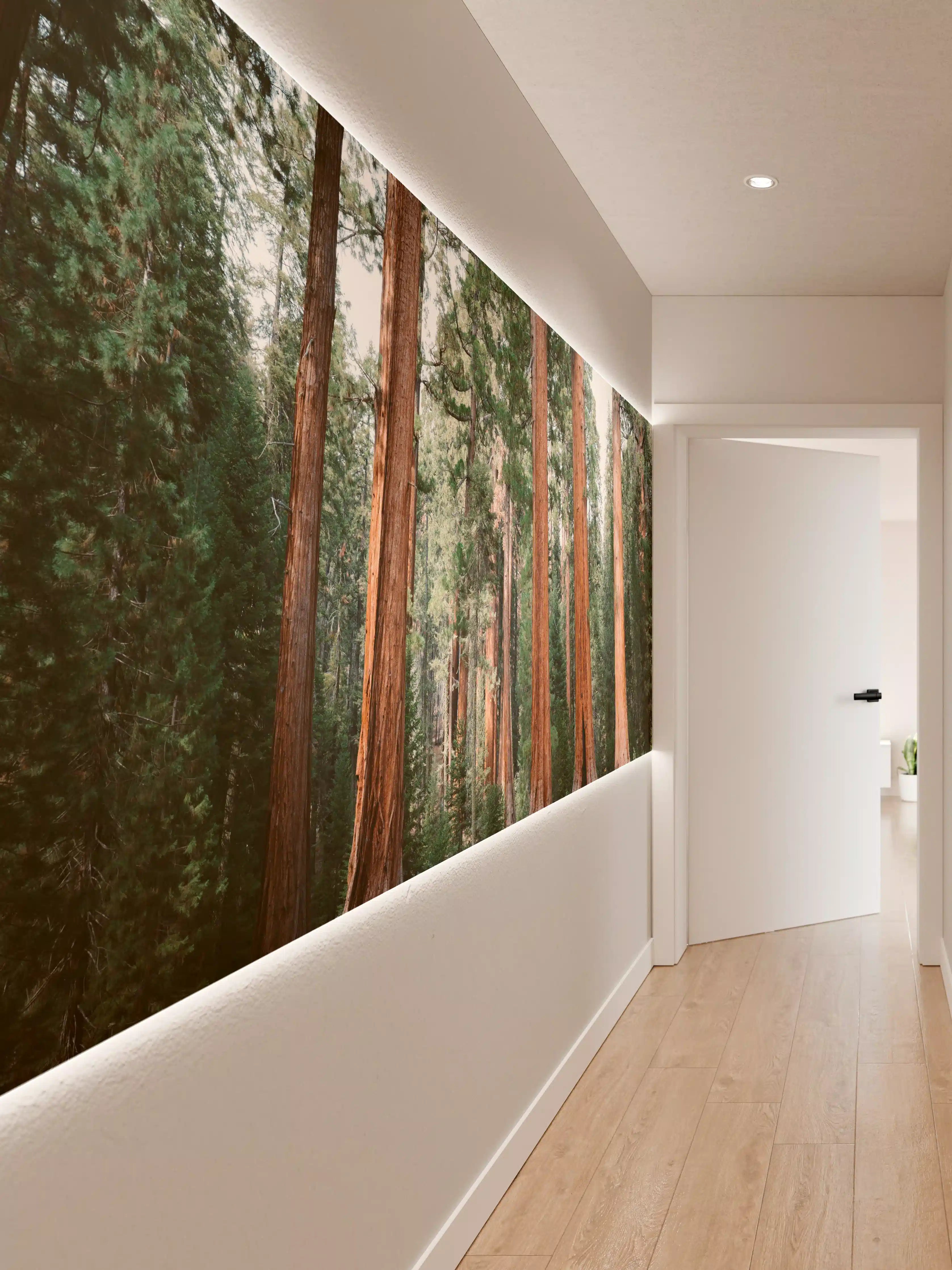 Wandverkleidung Flur - Majestätischer Wald mit alten Sequoia-Bäumen