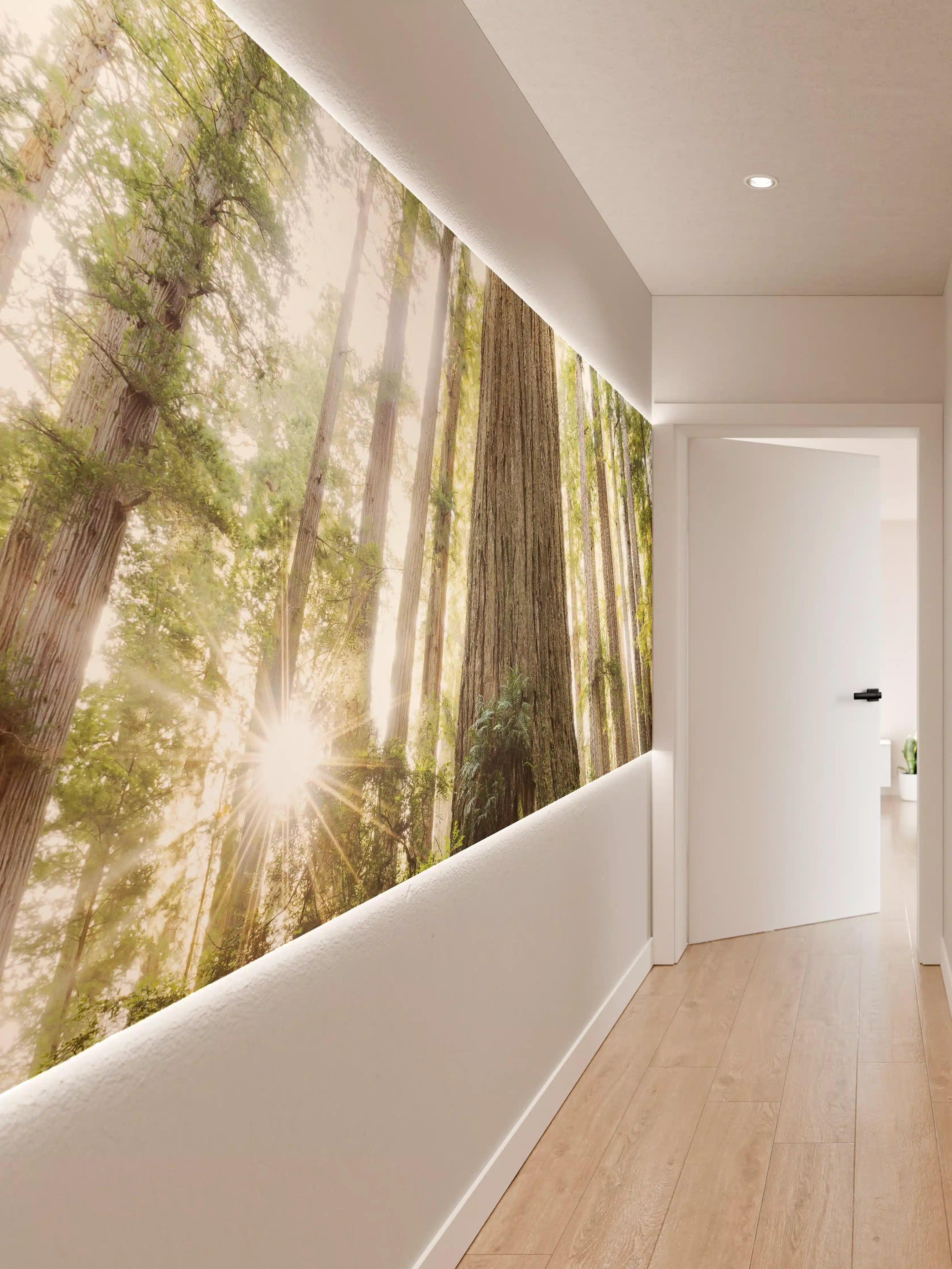 Wandverkleidung Flur - Majestätischer Waldbaum in Sonnenlicht