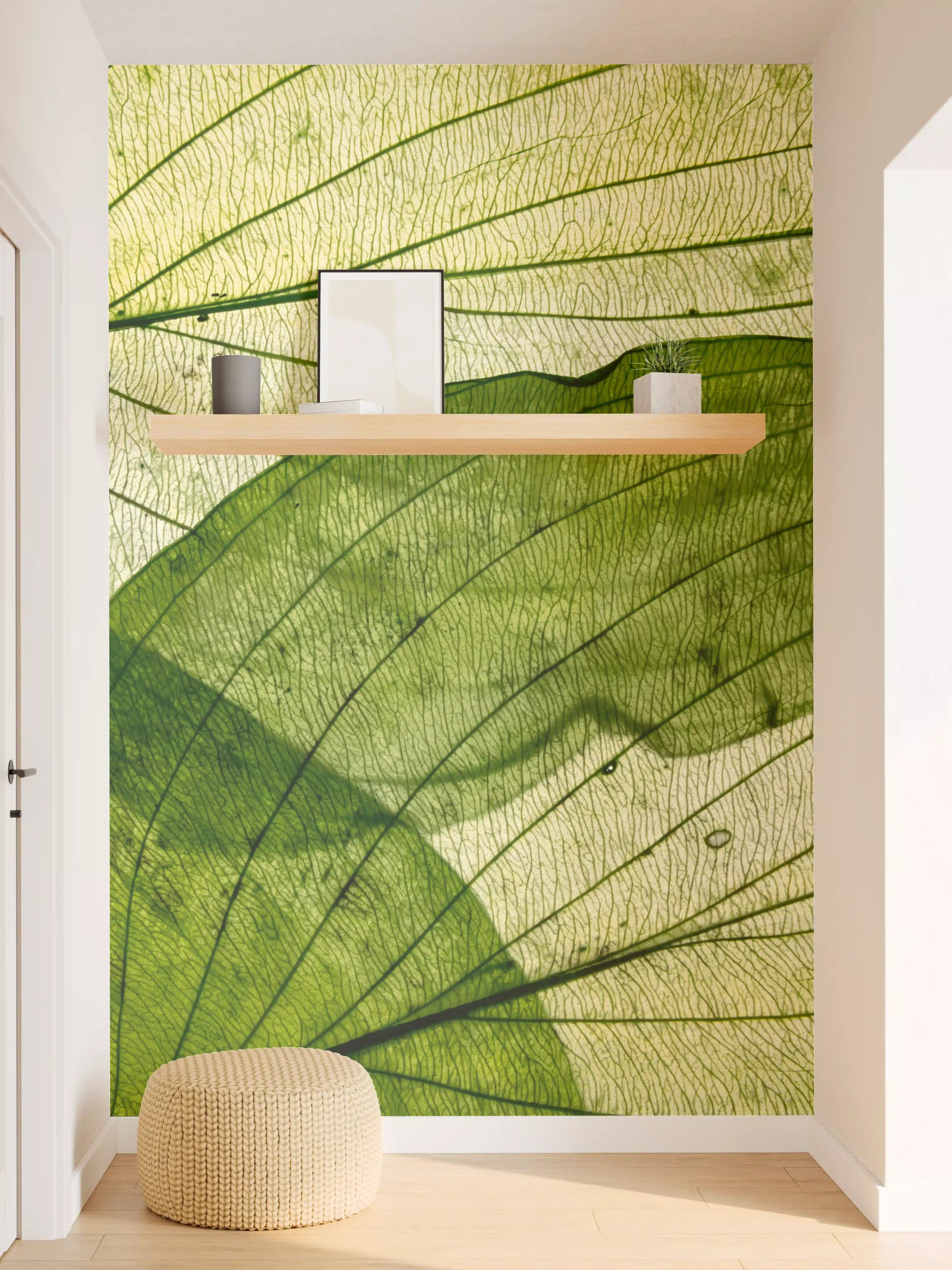 Wandverkleidung Flur - Makrotextur von herbstlich getrockneten Blättern