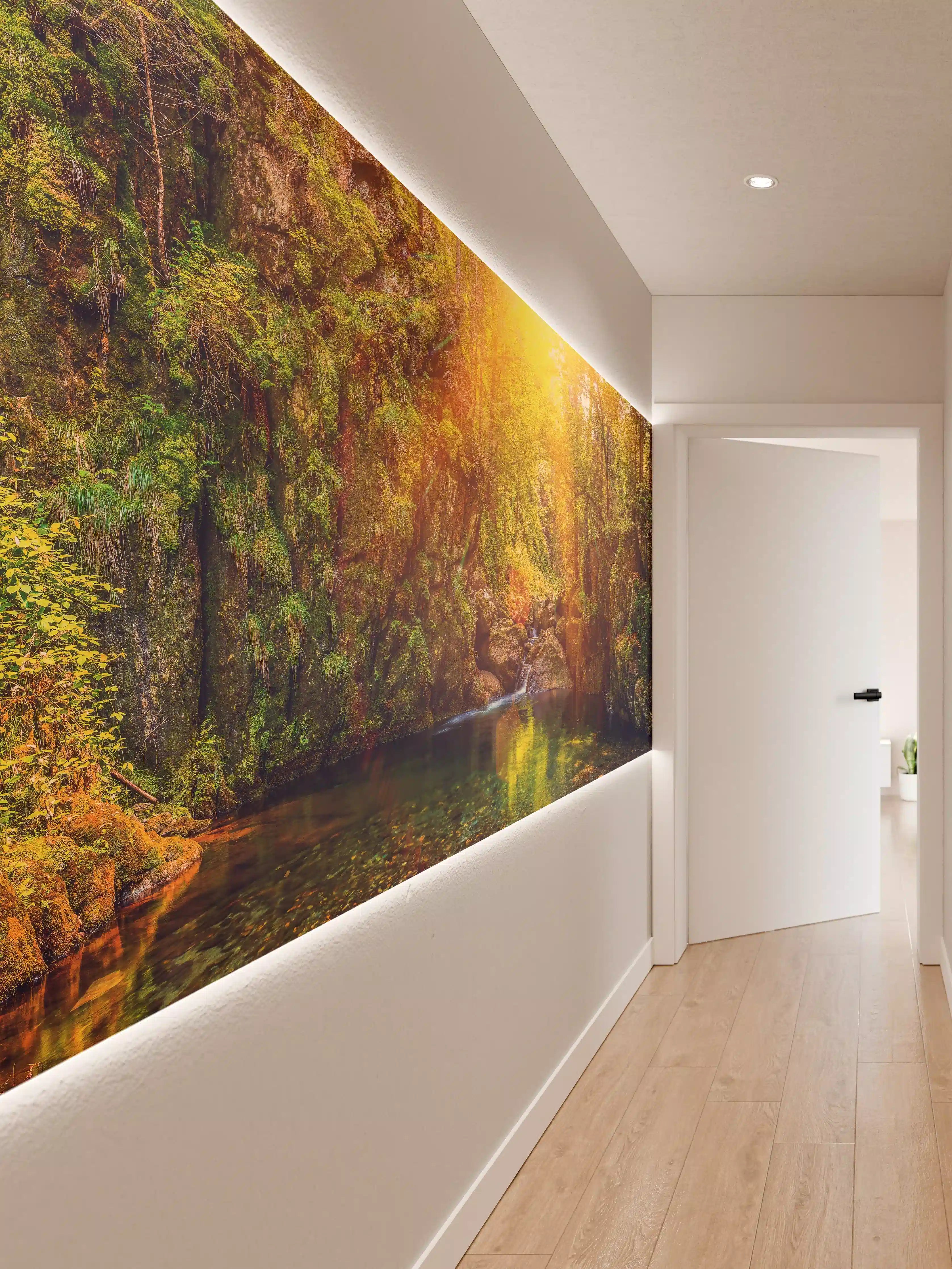 Wandverkleidung Flur - Malerische Sonnenuntergangsszene im Wald
