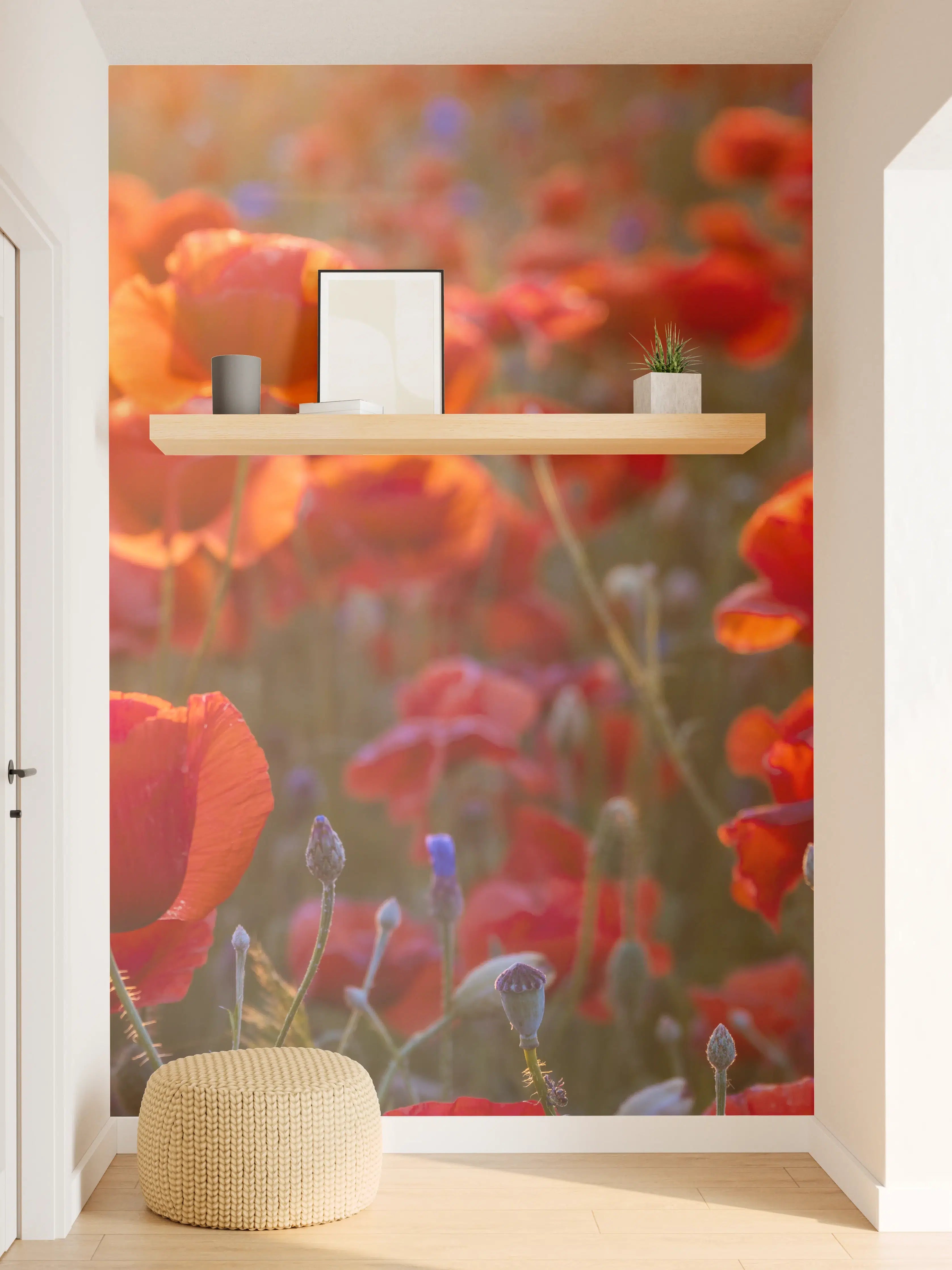 Wandverkleidung Flur - Mohnwiese im Licht der untergehenden Sonne