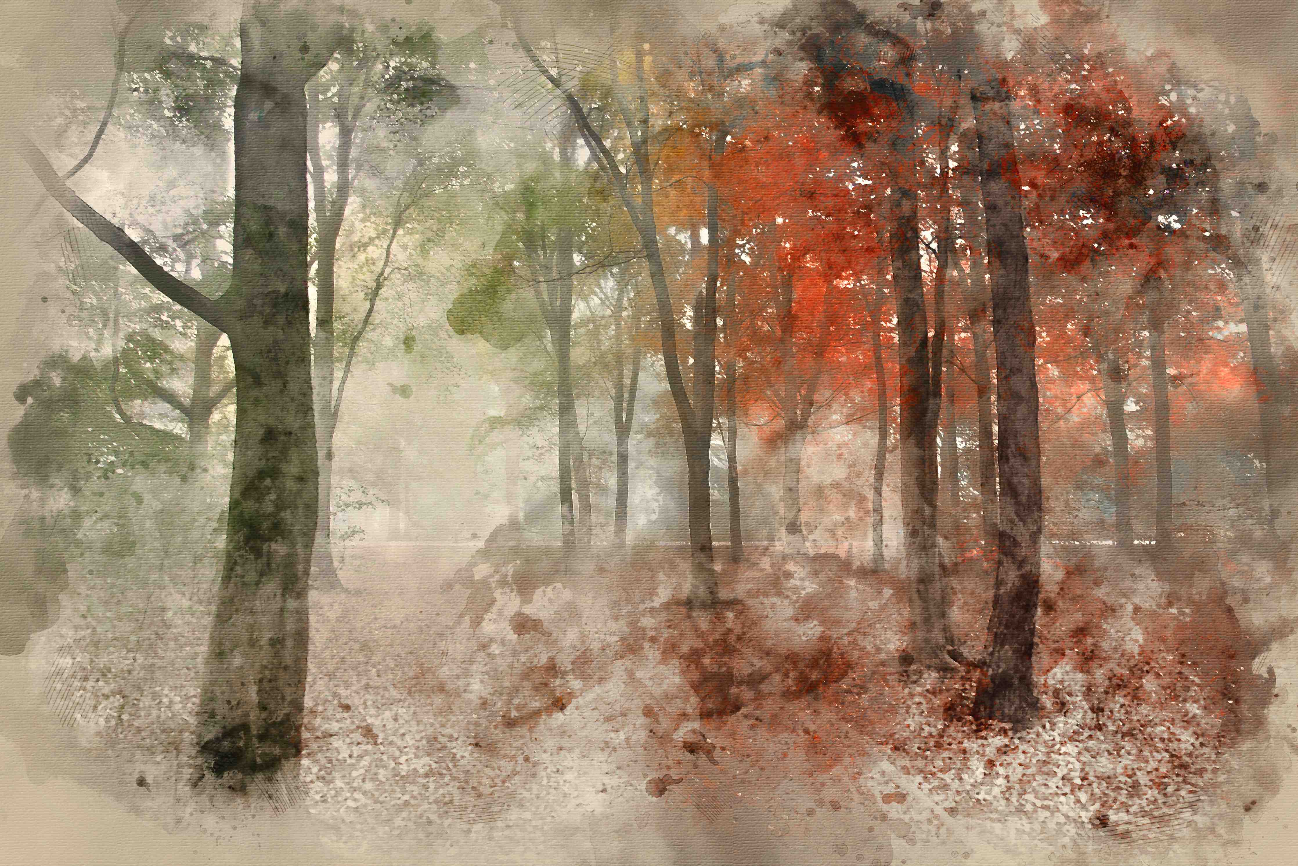 Wandverkleidung Flur-Mystischer Herbstwald mit Nebel und bunten Blättern